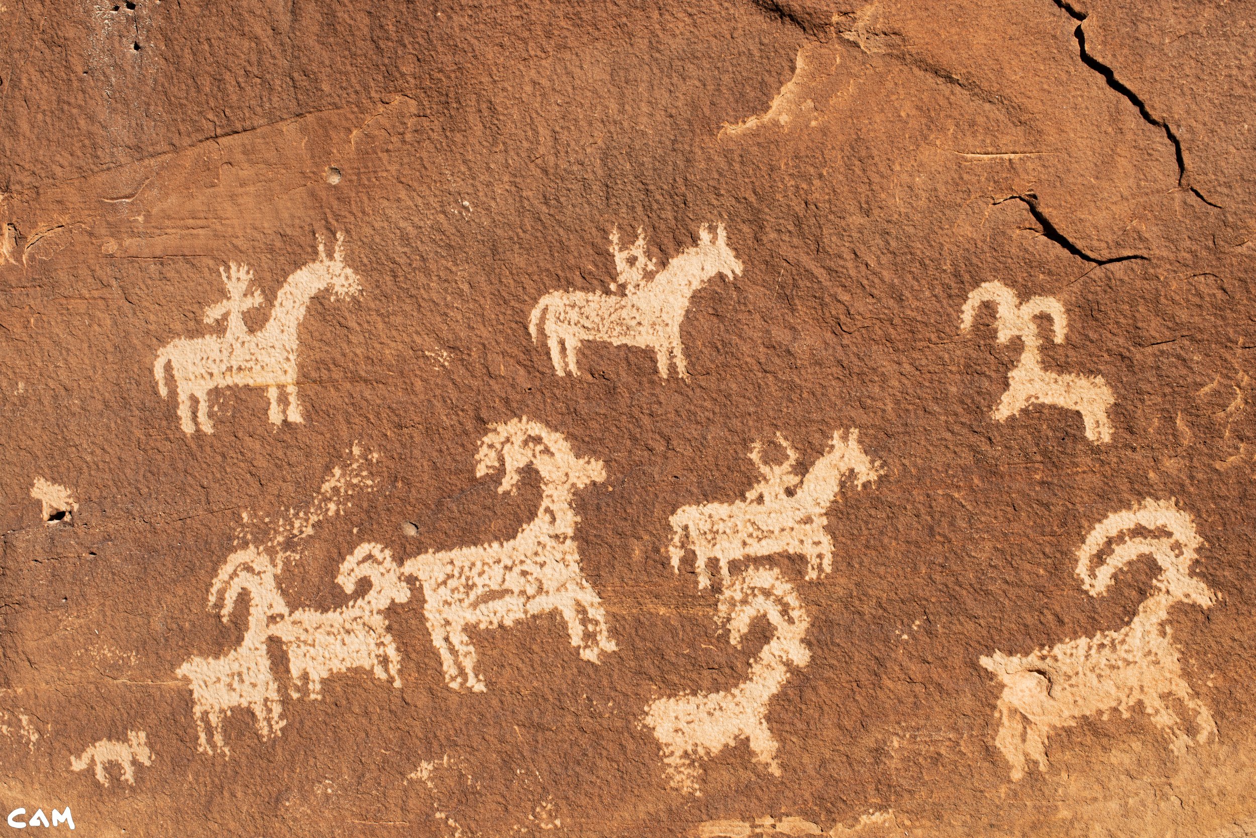 wolfe ranch panel