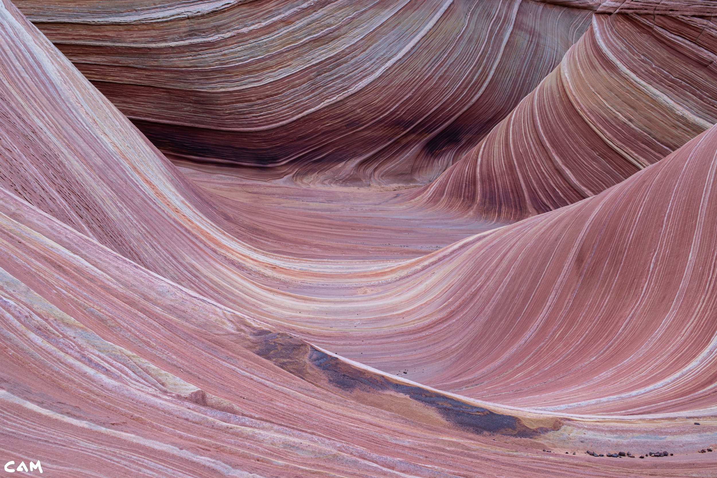 the wave