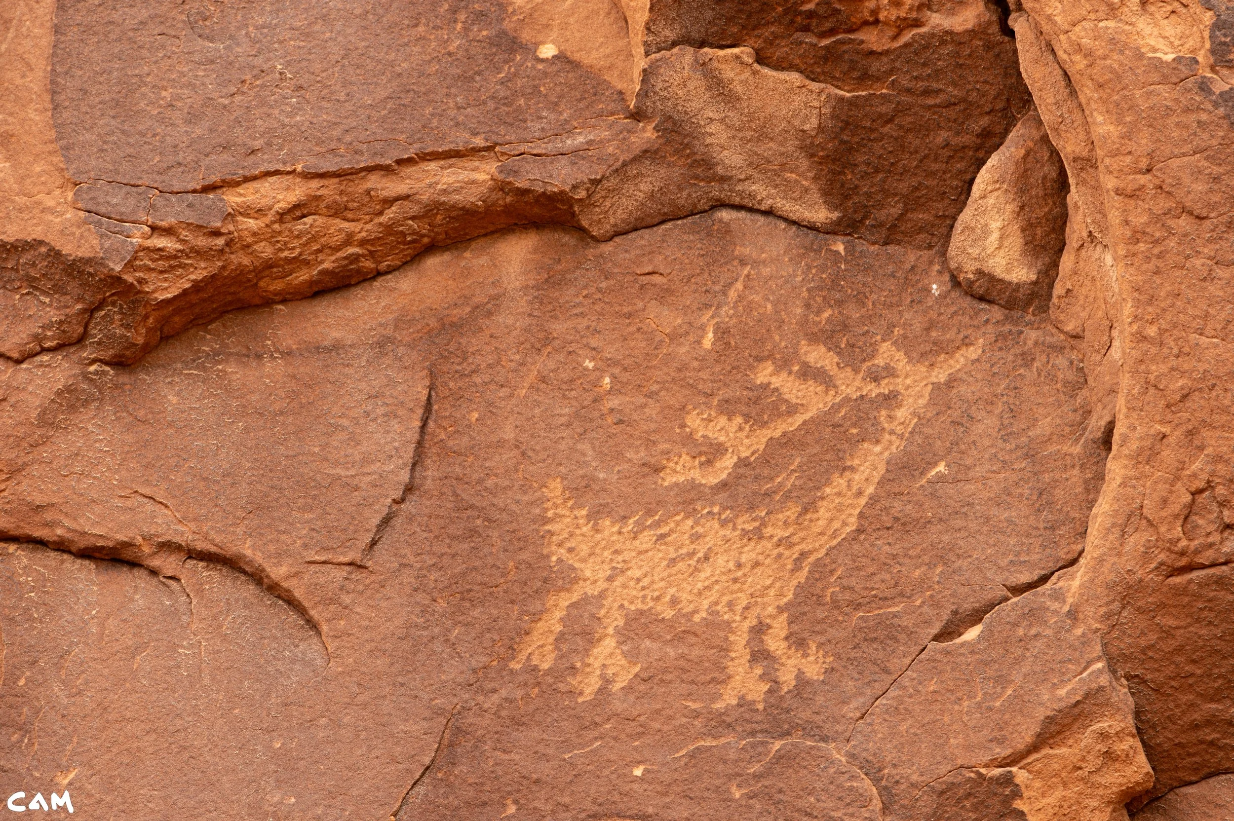 elk petroglyph