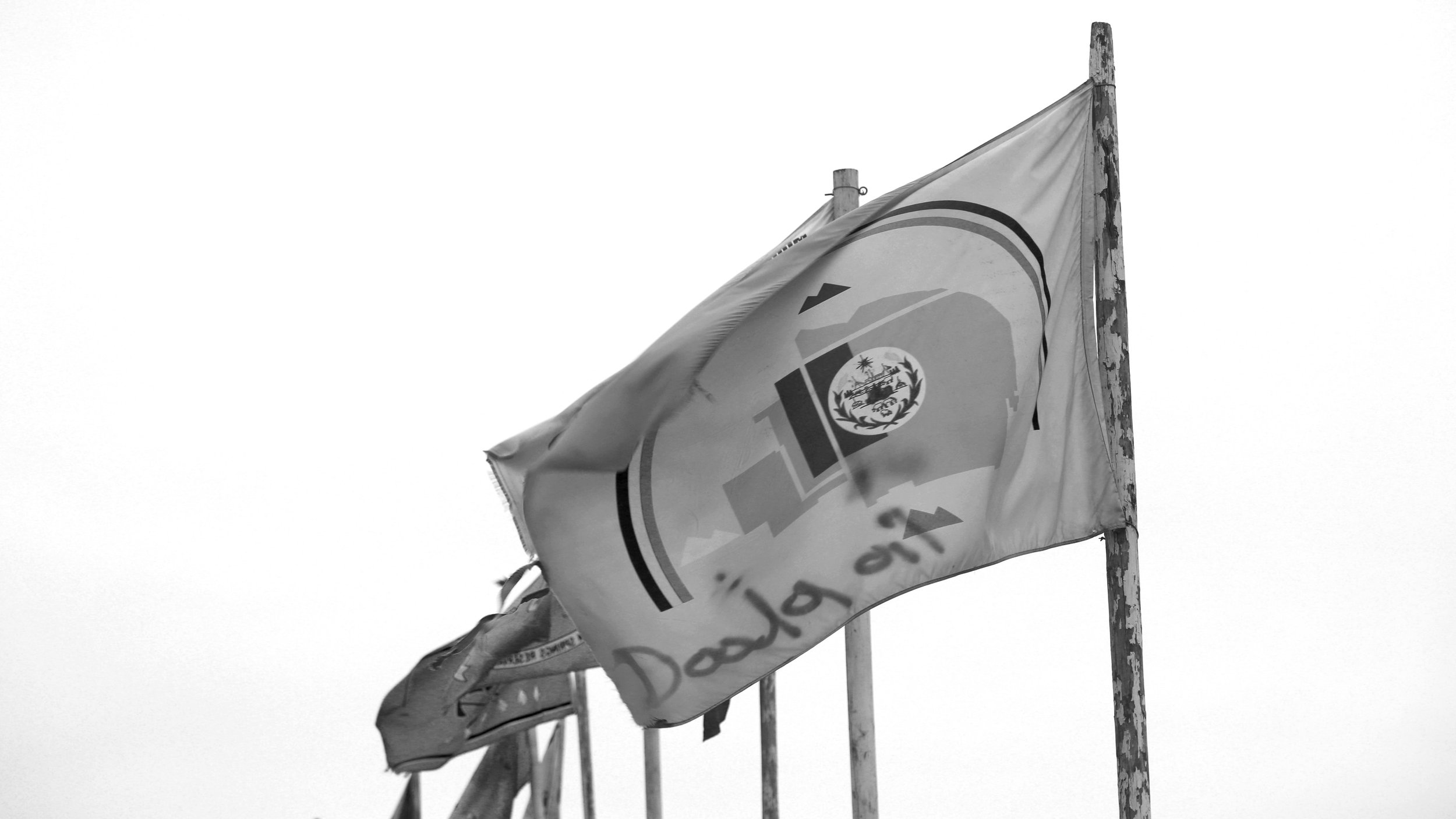 SR_5.jpg
