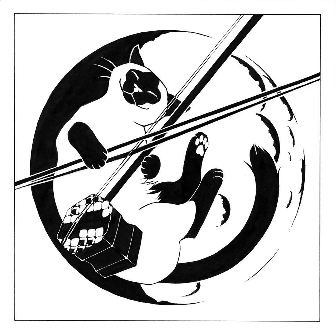 erhu001.jpg