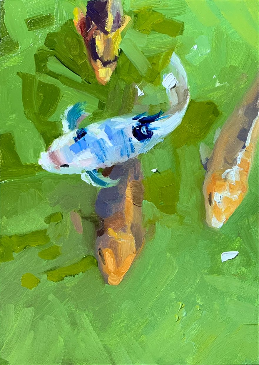 Koi Fish