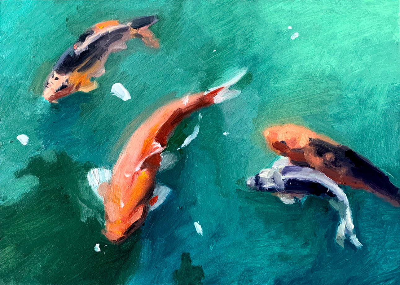 Koi