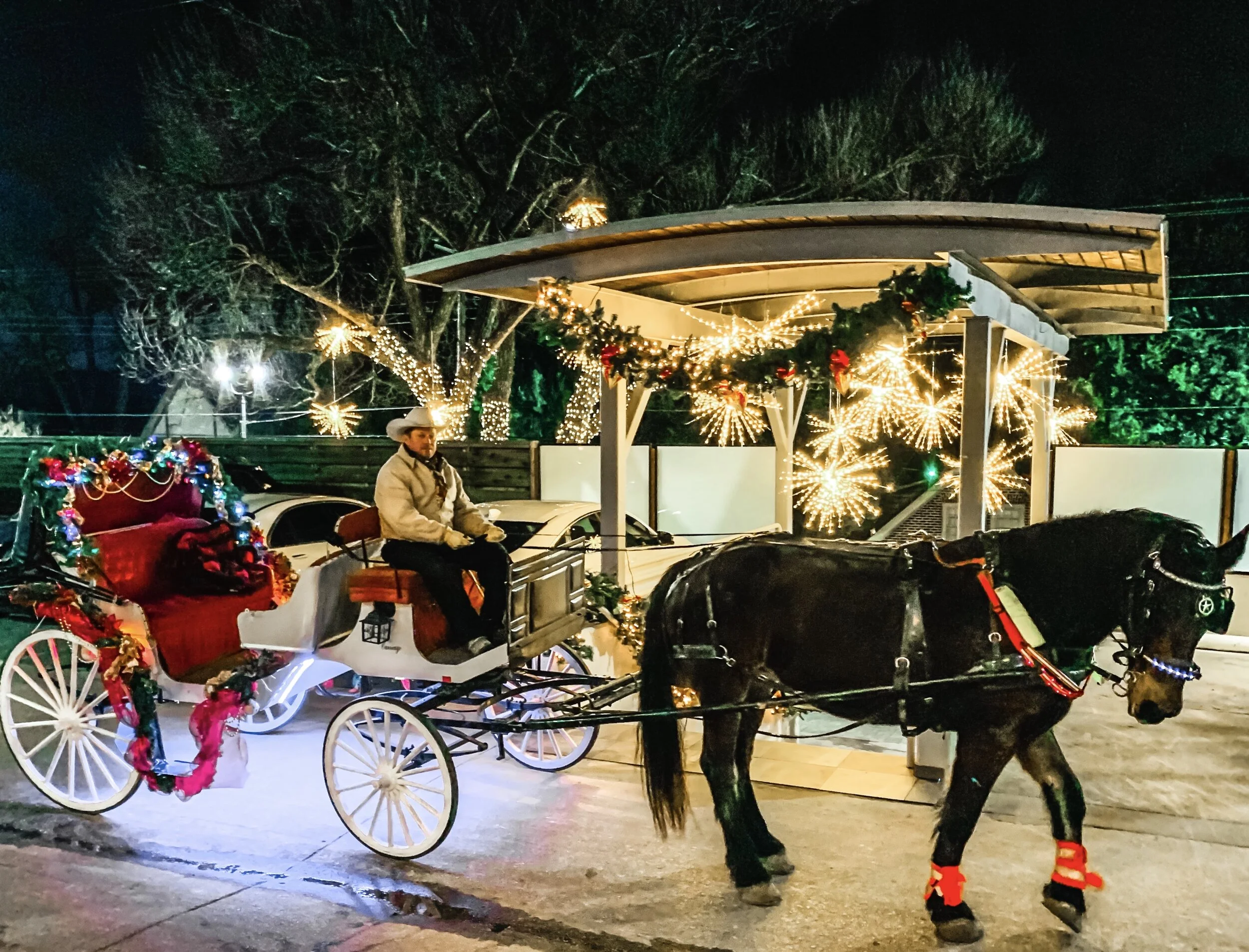 2022 Coral House Christmas Horse Wagon Ride Christmas Tours — Whitehaven