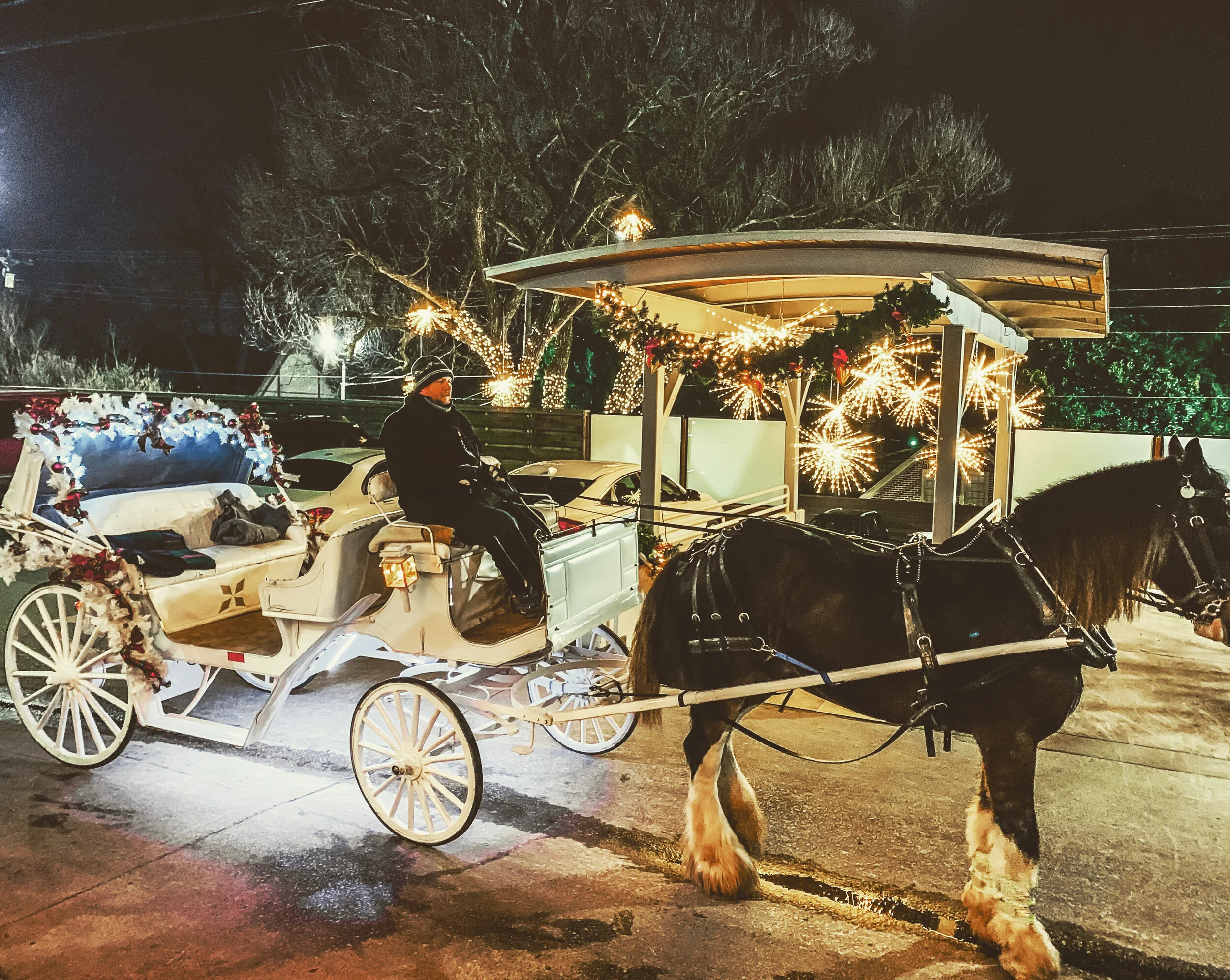2022 Coral House Christmas Horse Wagon Ride Christmas Tours — Whitehaven