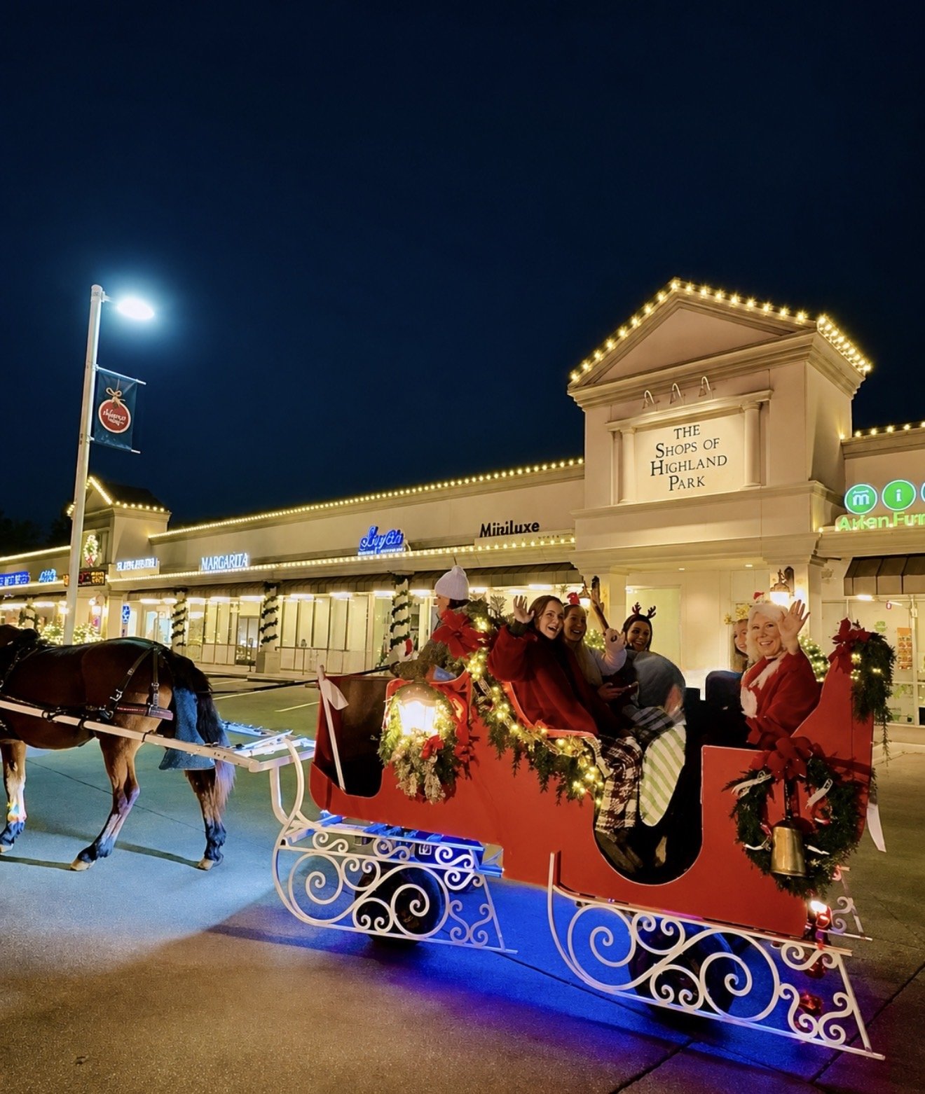 Whitehaven Events Carriage Sleigh with horse in HP.jpeg