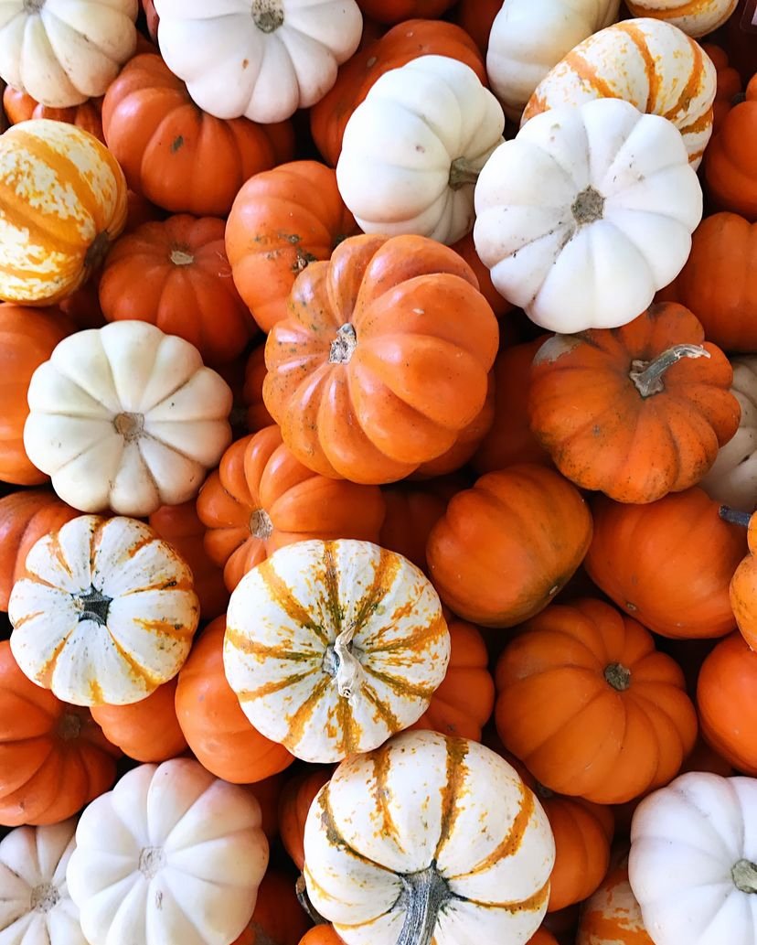 pumpkin decor 4.jpeg