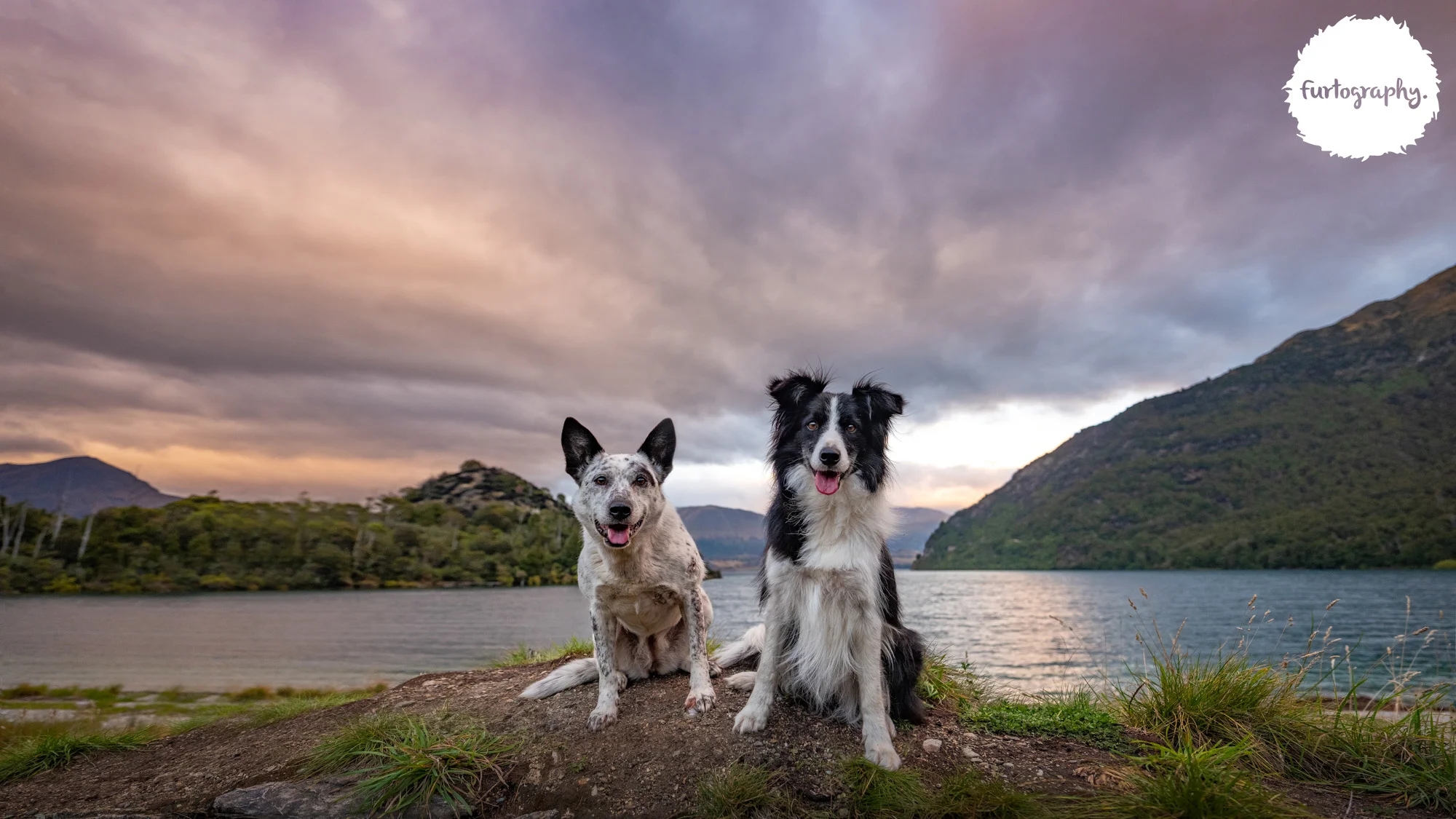 WEB-weekone-bobscove-blue-fluke&truce-furtography-0001.jpg