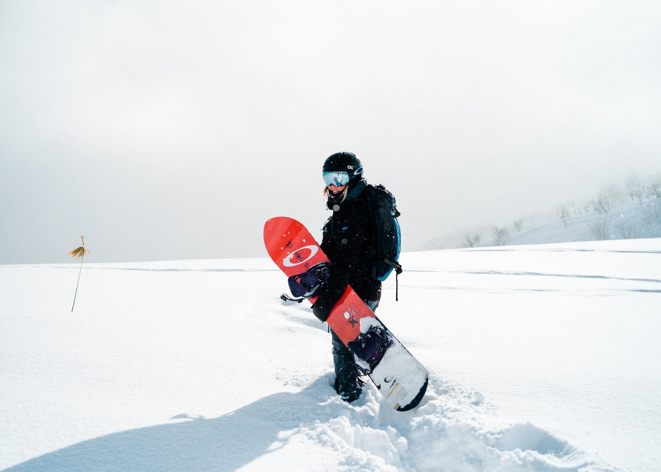 snowboarding-hamish-duncan-558696-unsplash.jpg