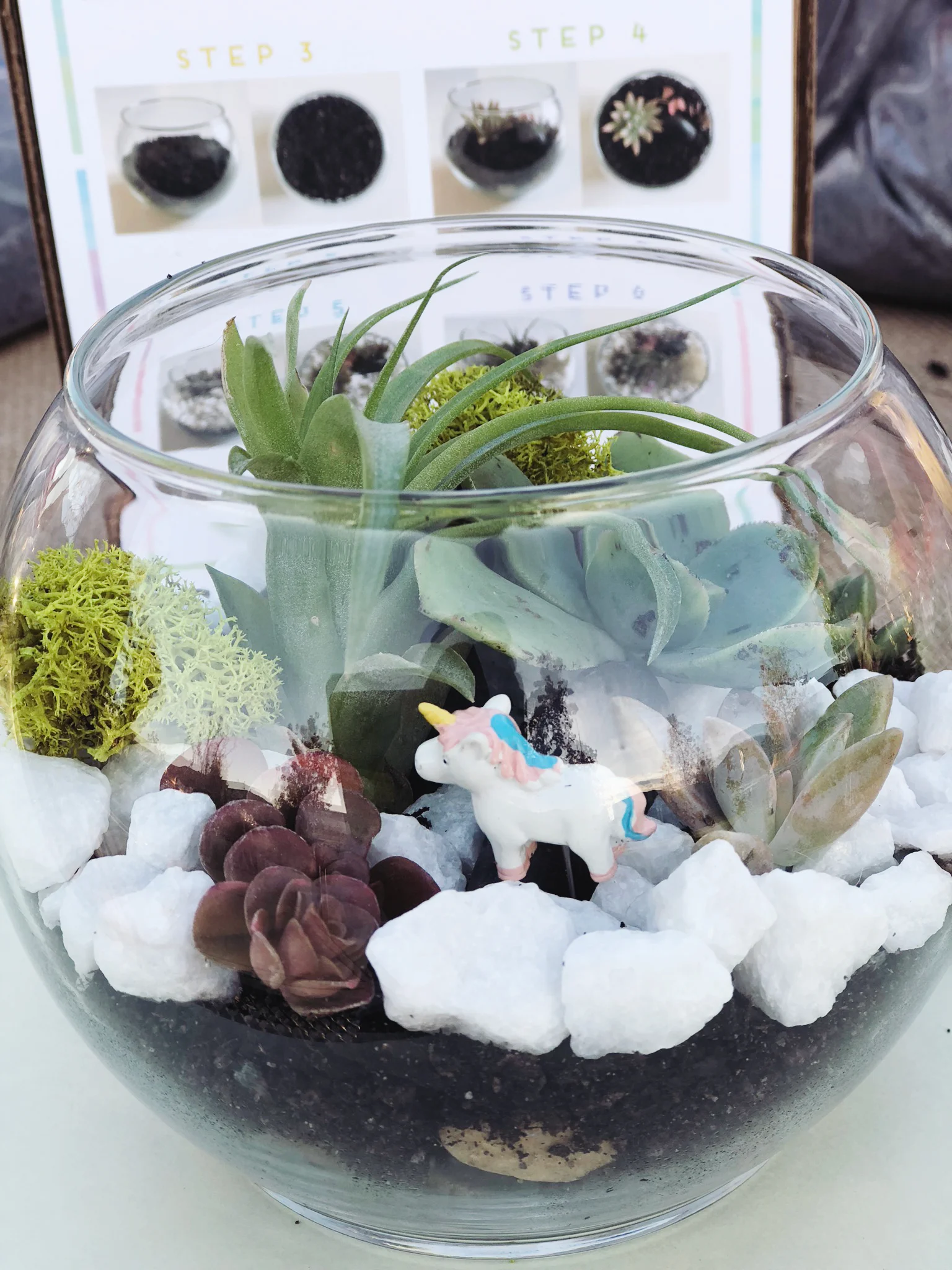 closeupterrarium.jpg