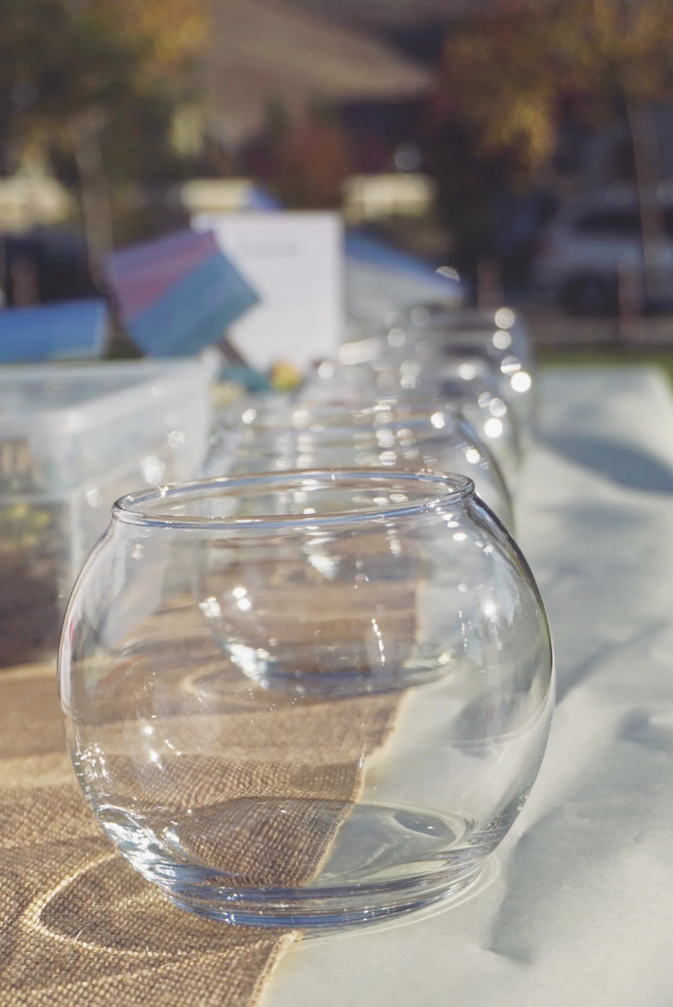 fishbowls.jpg