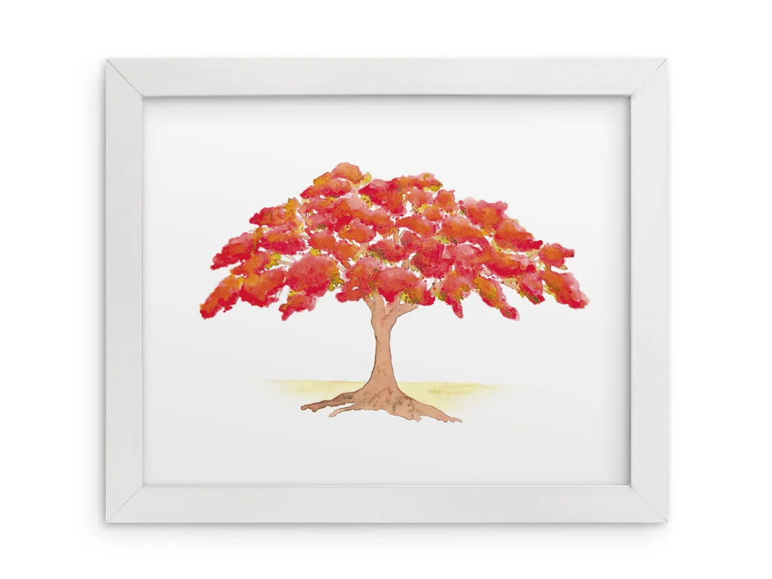 flamboyanttree2.jpg