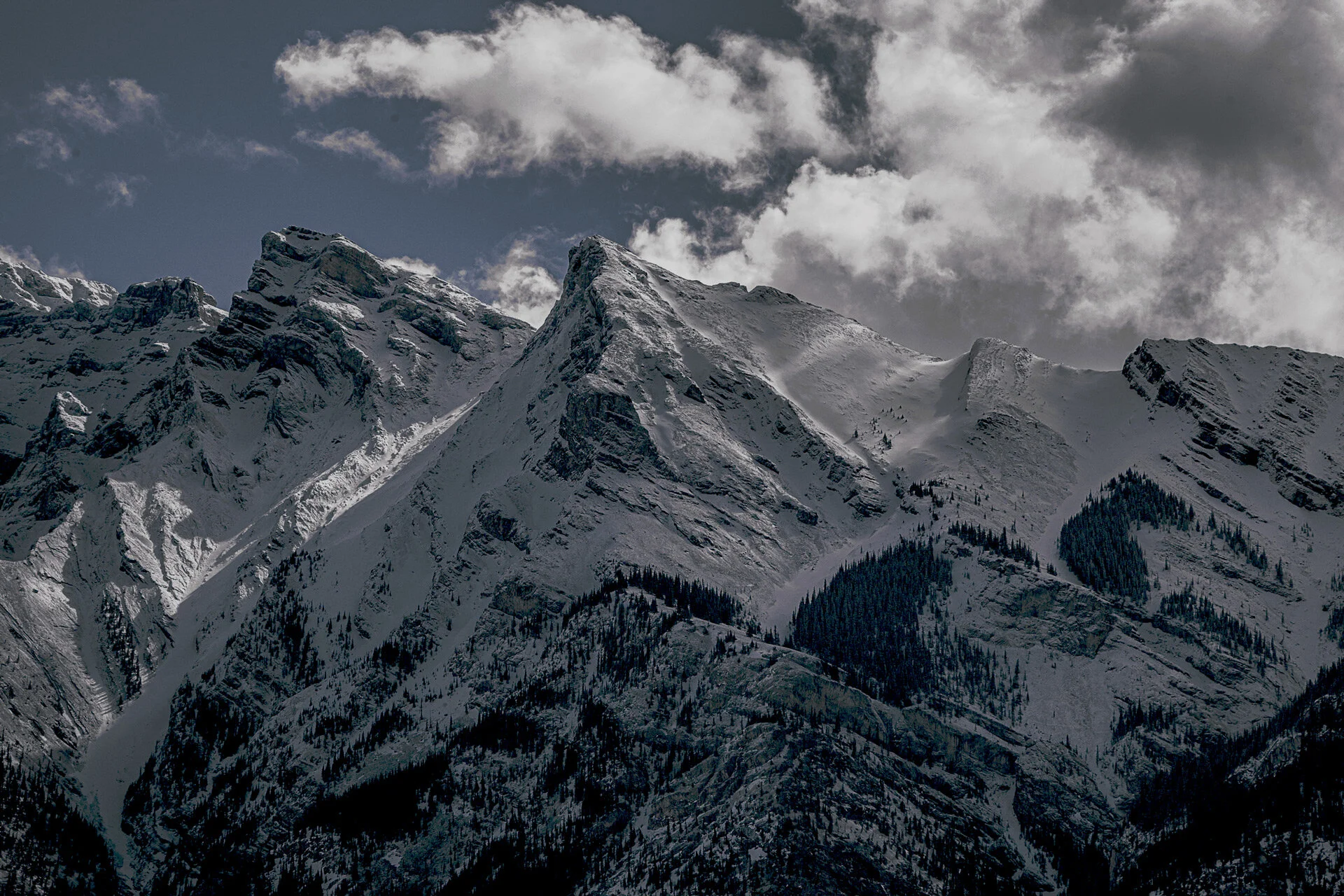 7866-mt-small.jpg