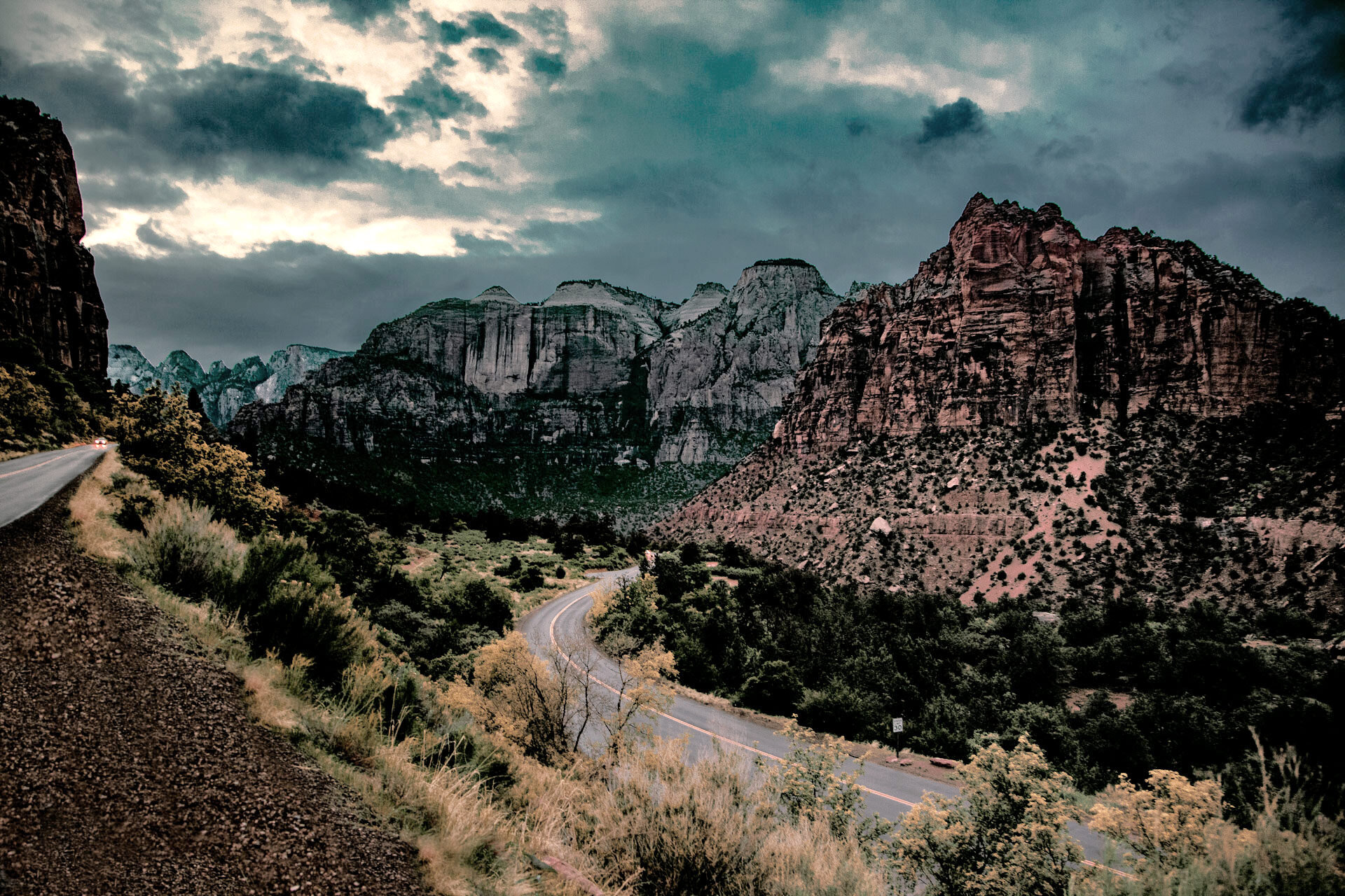 IMG_5541-zion.jpg