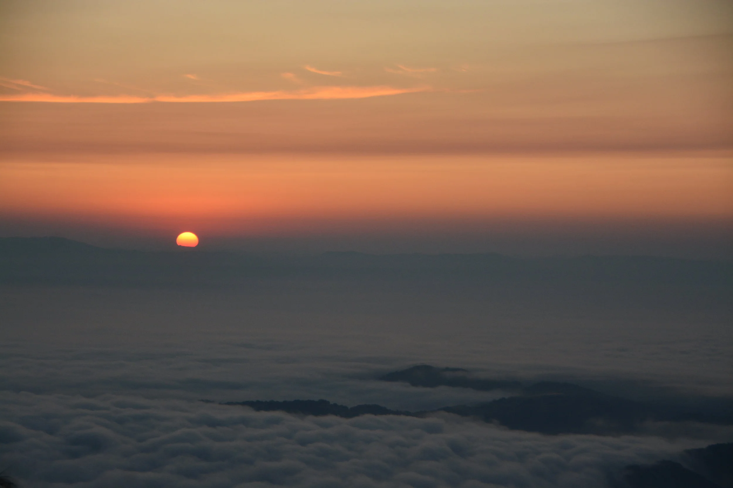 DSC_0925.JPG