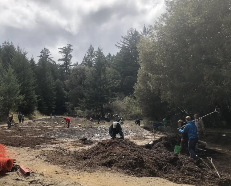 Volunteer planting day at the new entrance to Castle Rock State Park. Photo courtesy Rebecca Schoenenberger, California Nativescapes.