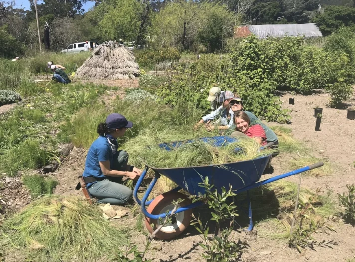 Volunteer workday at Pie Ranch. Photo courtesy Nancy Vail.