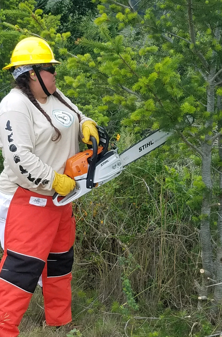 AMLT Native Steward Serenity Luna limbing a young Douglas-fir in preparation for removal. Photo courtesy Jeanette Acosta.