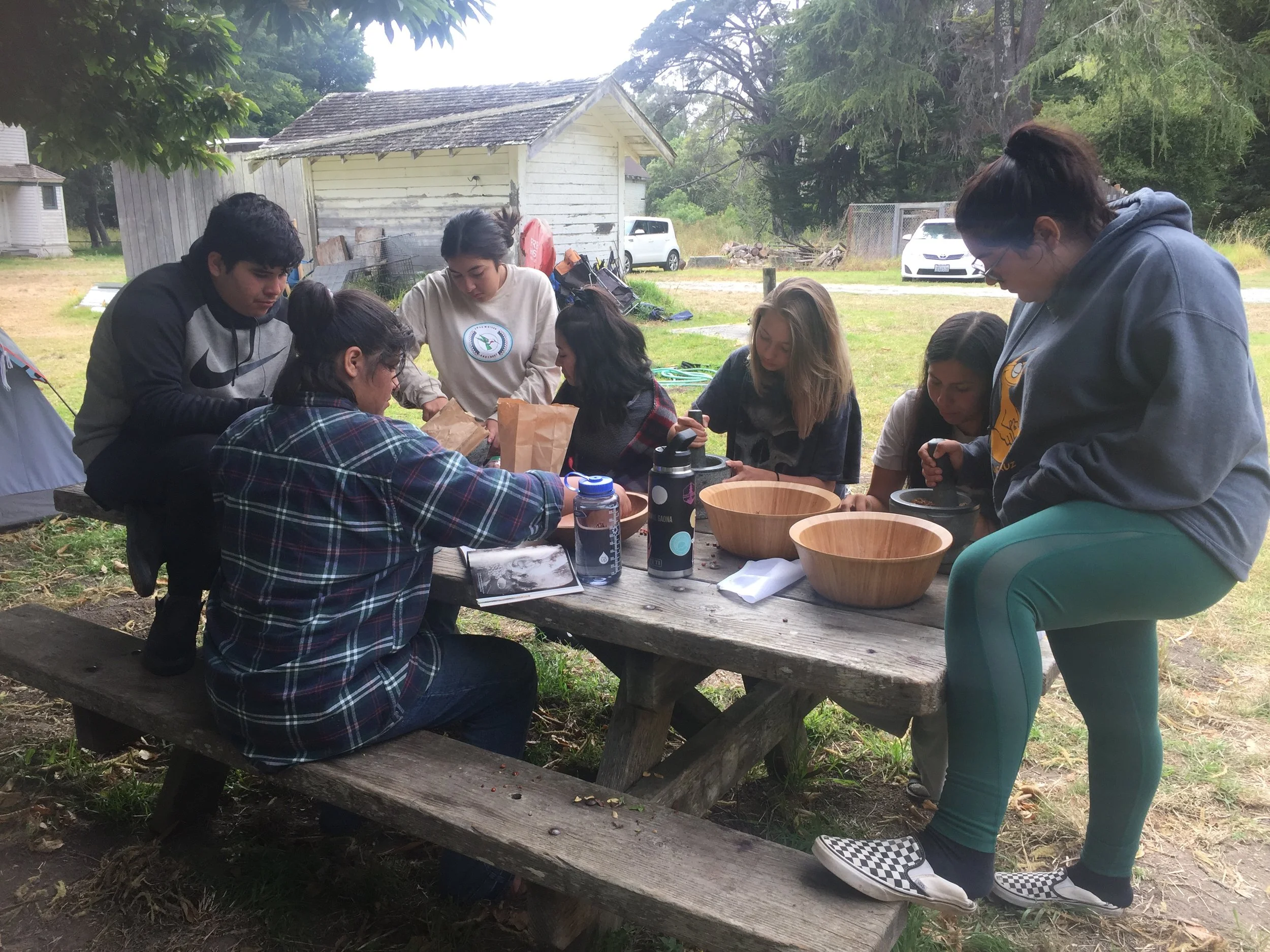 NLS'19 AMLT INTERNSHIP PROGRAM — Amah Mutsun Land Trust
