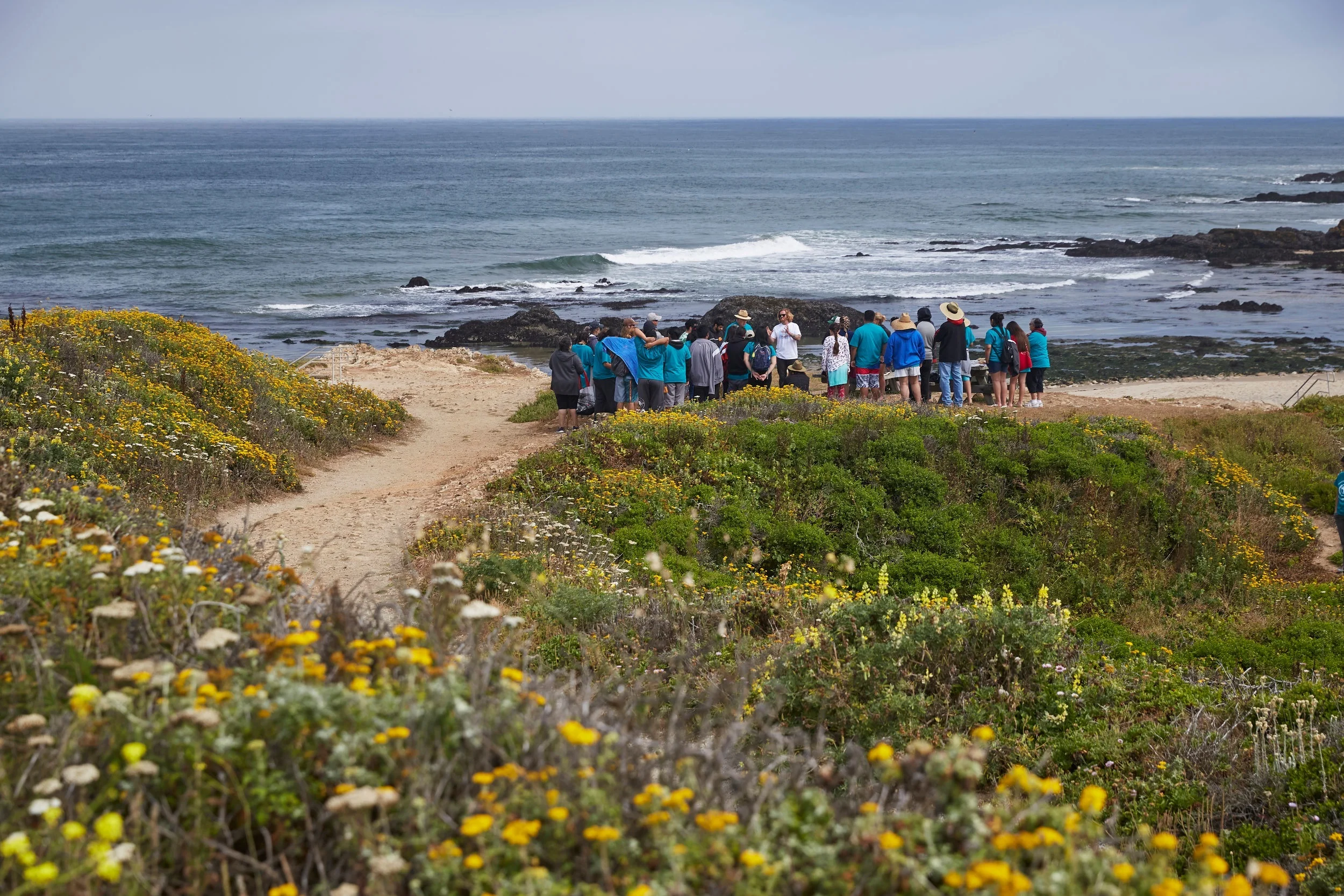 Gathered at Pescadero State Beach to learn from UC Berkley researchers about marine resources