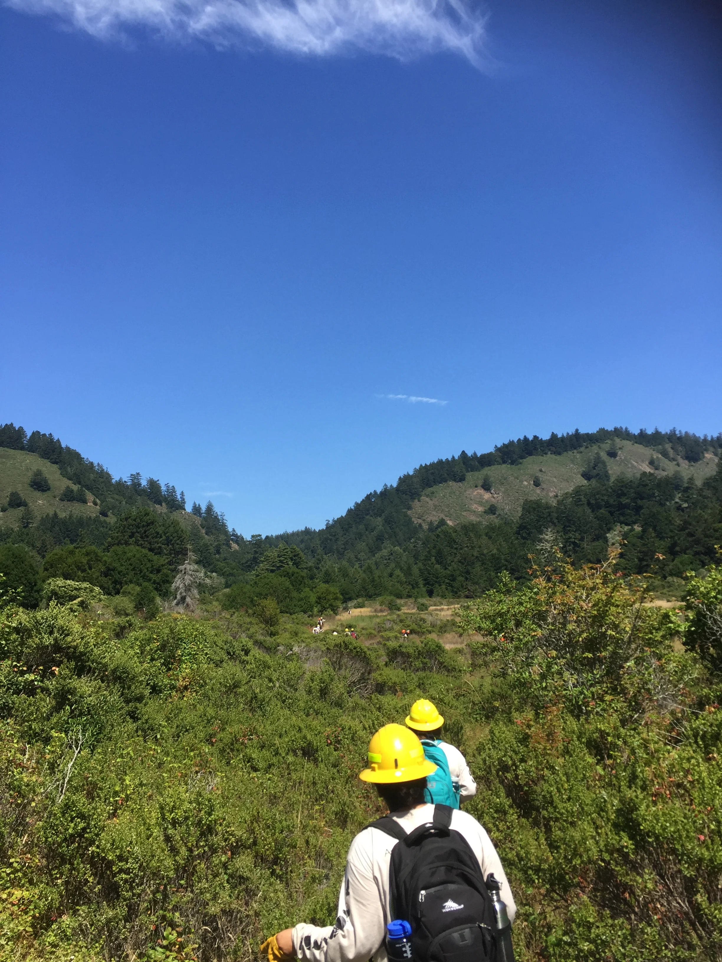 NSC interns hiking to work site