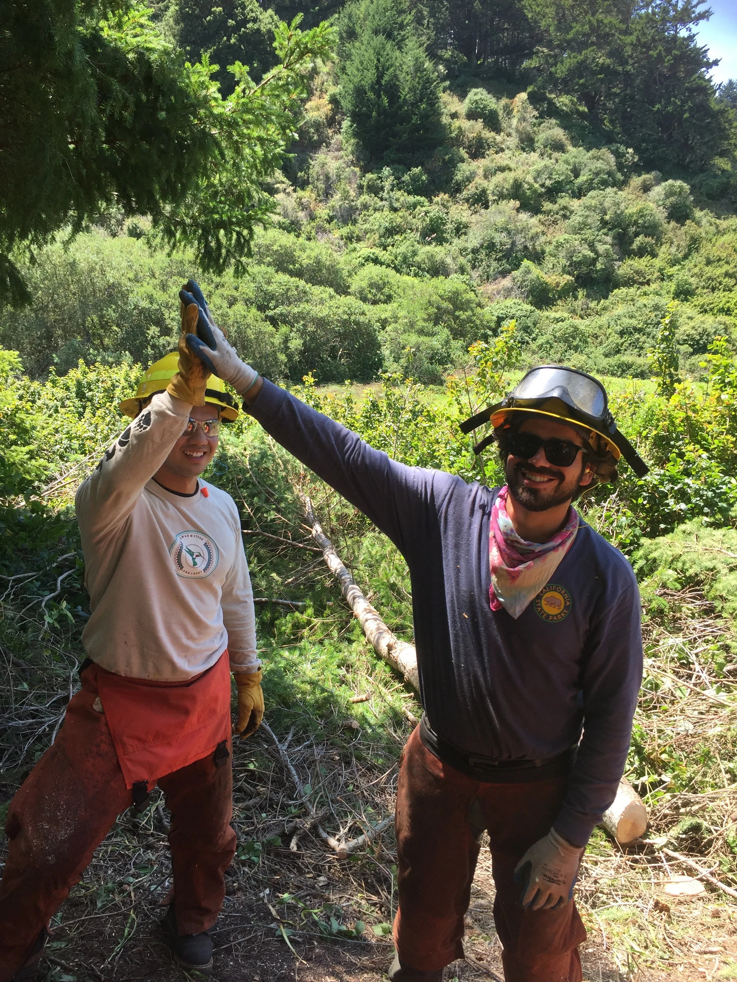 Celebrating the success of interns working safely and effectively at the coastal prairie restoration site