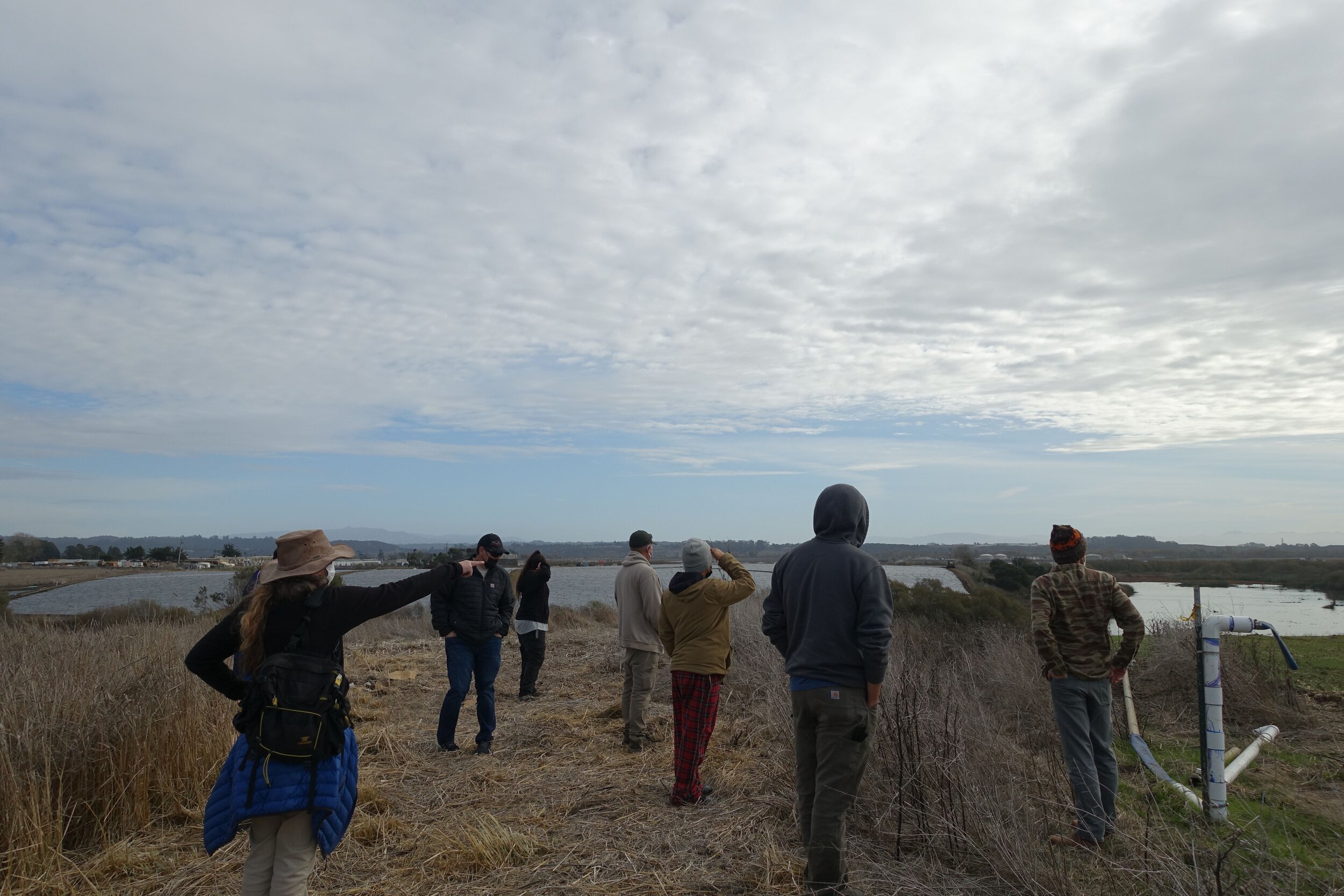 NSC staff meeting with Santa Cruz Land Trust near Elkhorn Slough to discuss future collaborations