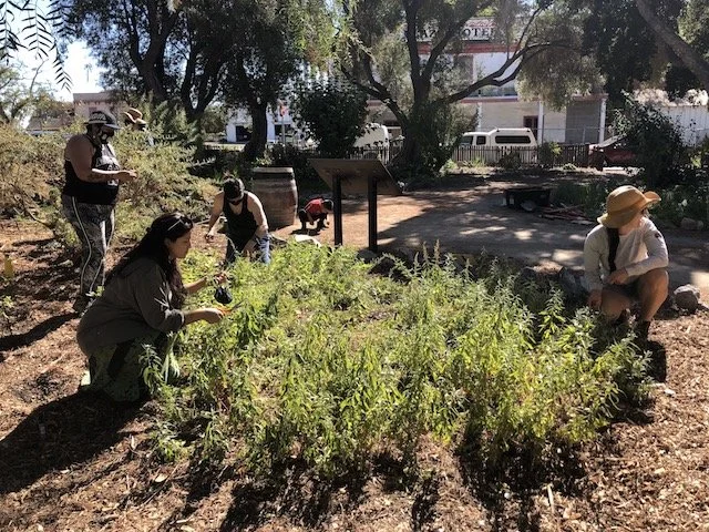 San Juan Bautista Garden Work Day  