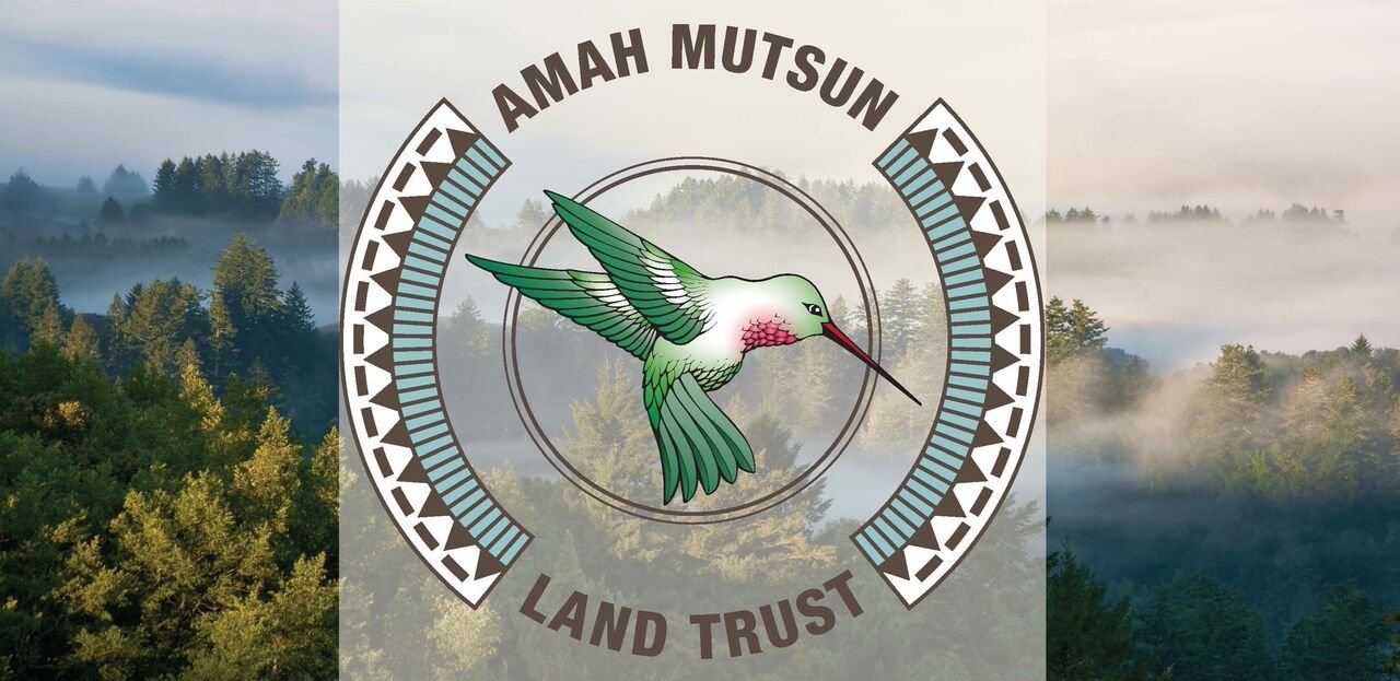 Winter 2020 eNewsletter