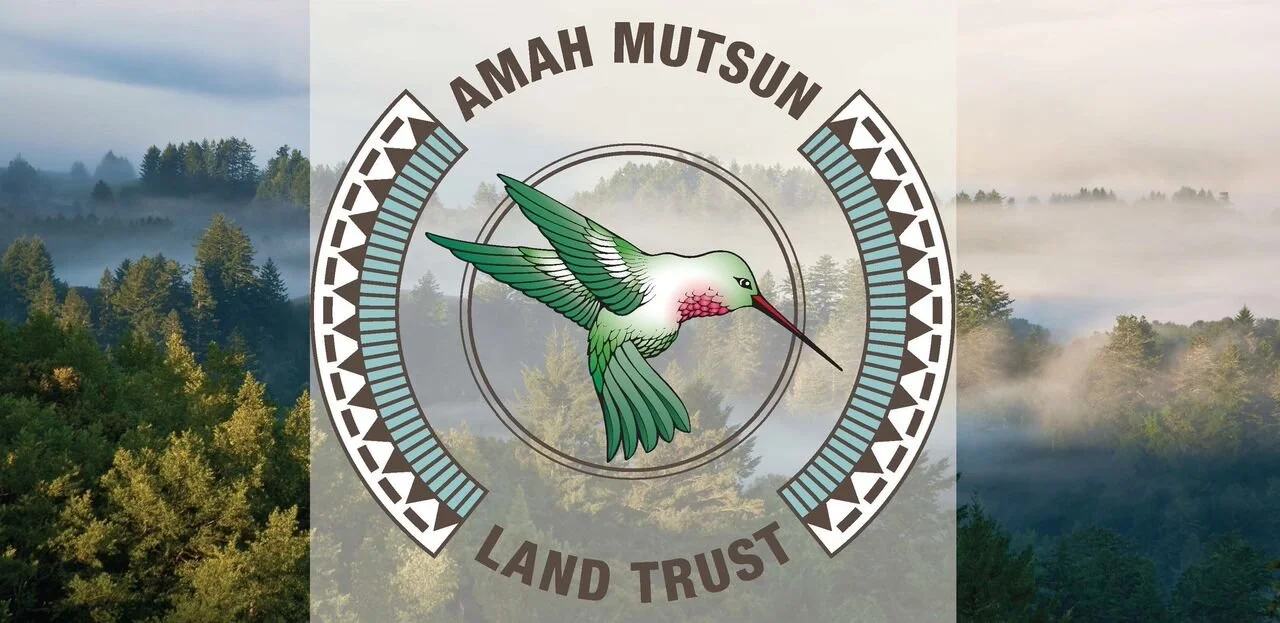 Summer 2019 eNewsletter