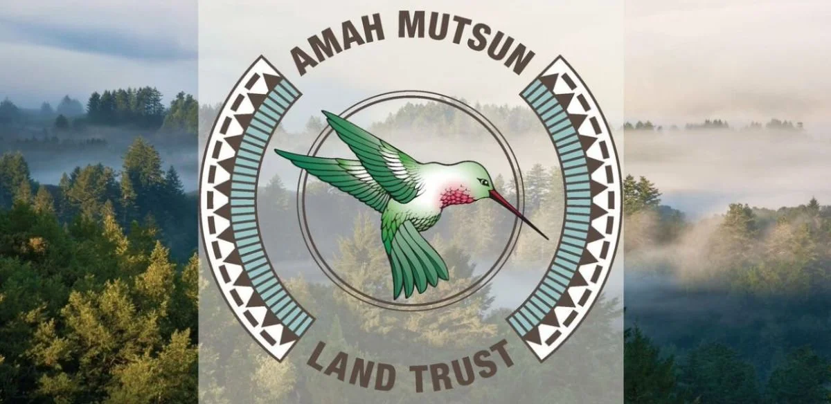 August 2026 Newsletter - Caring for Sacred Spaces and Building Community
