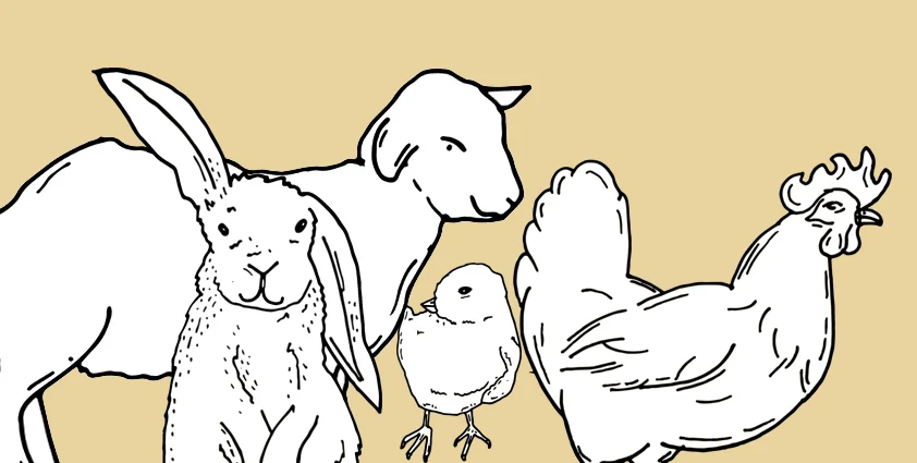 petting-zoo-website.jpg