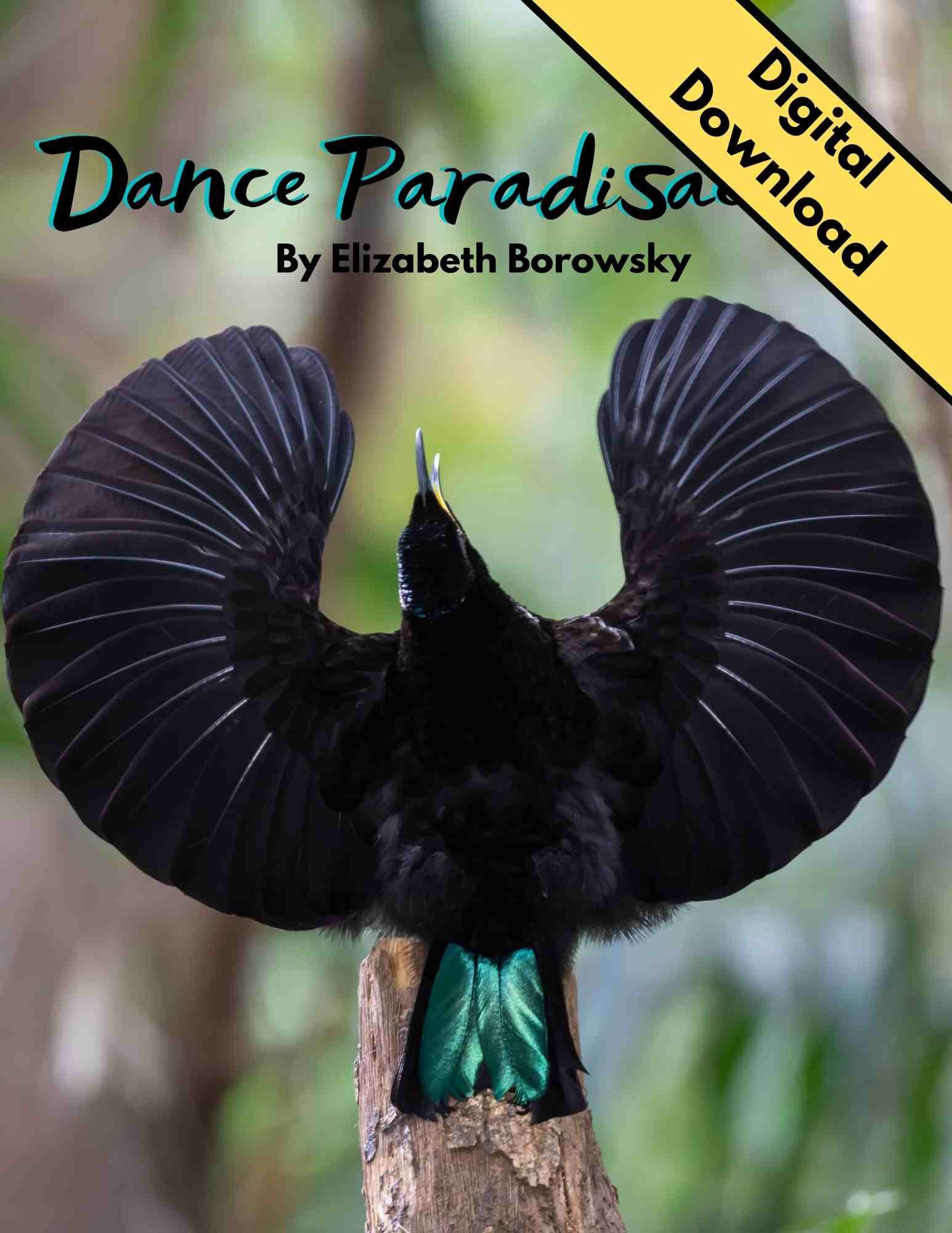 Dance Paradisaeidae.jpg