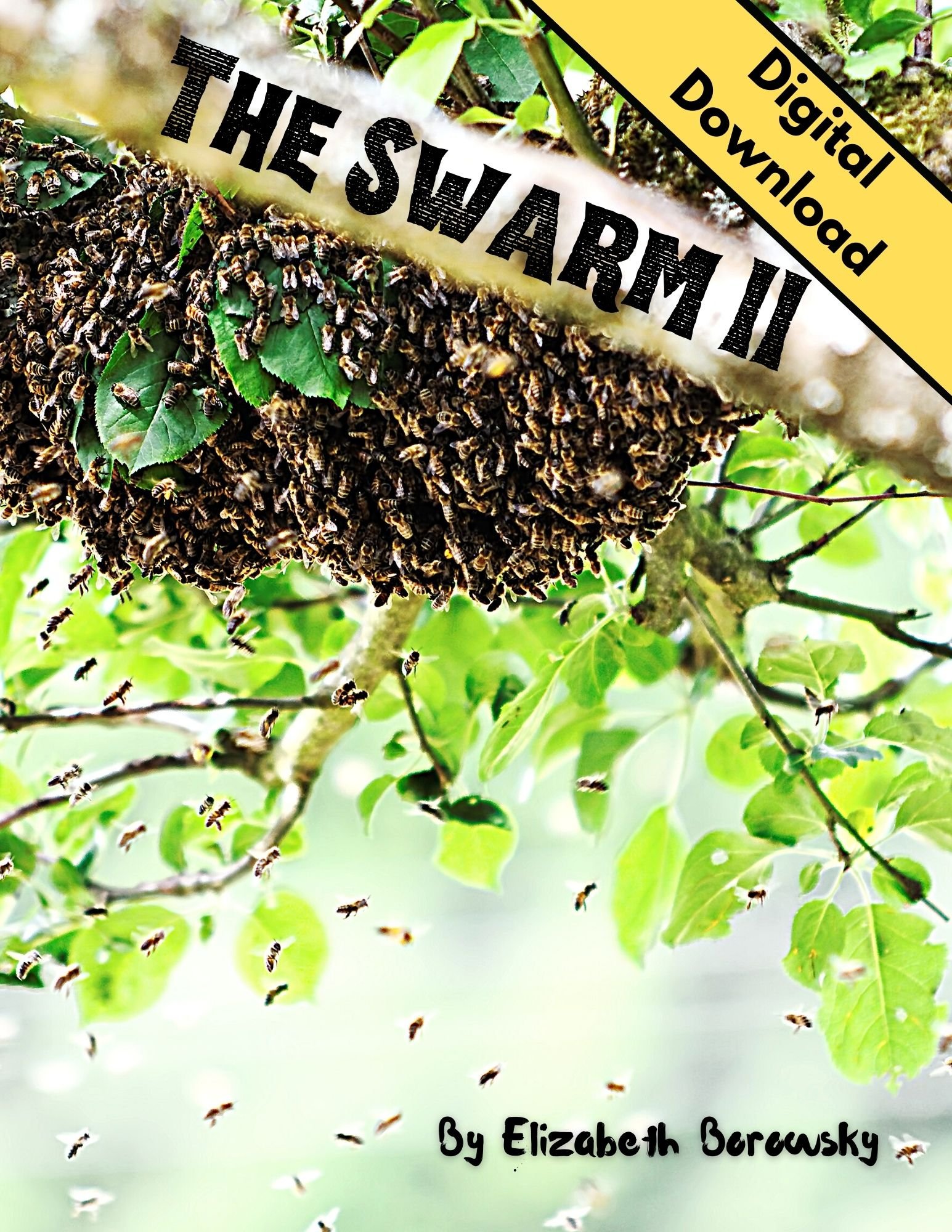 The Swarm II cover.jpg