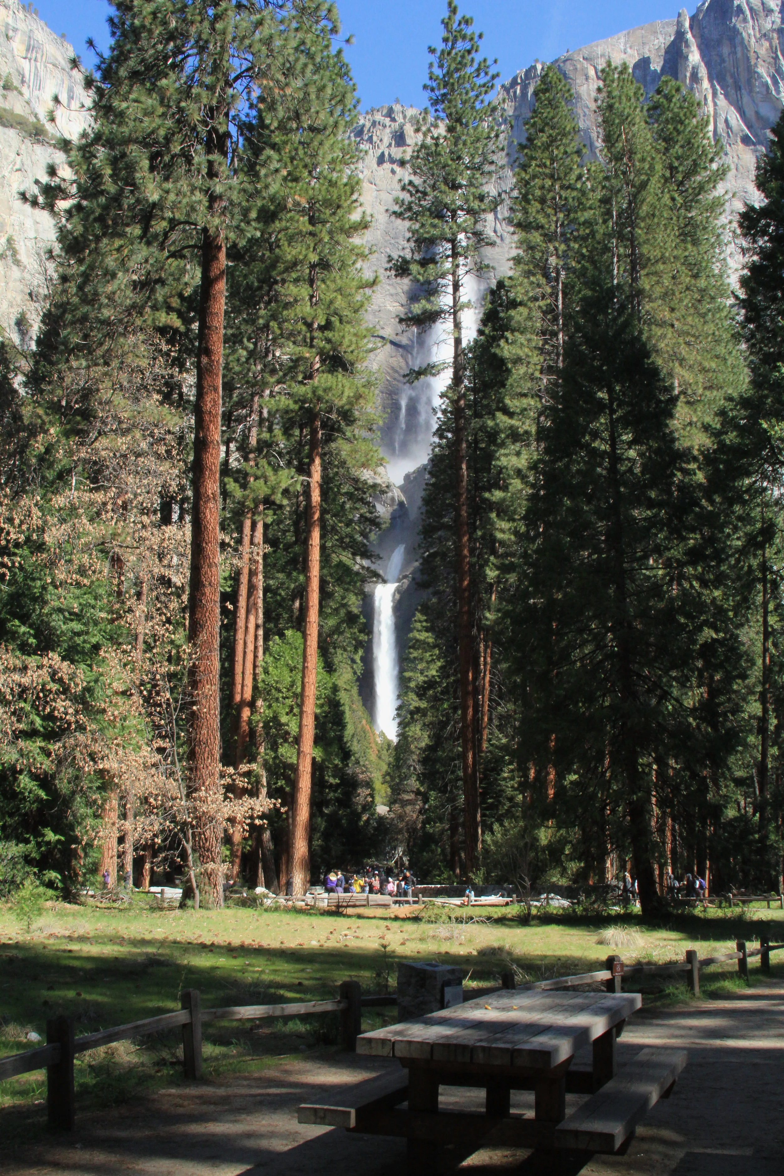 Yosemite Falls - 5.jpg