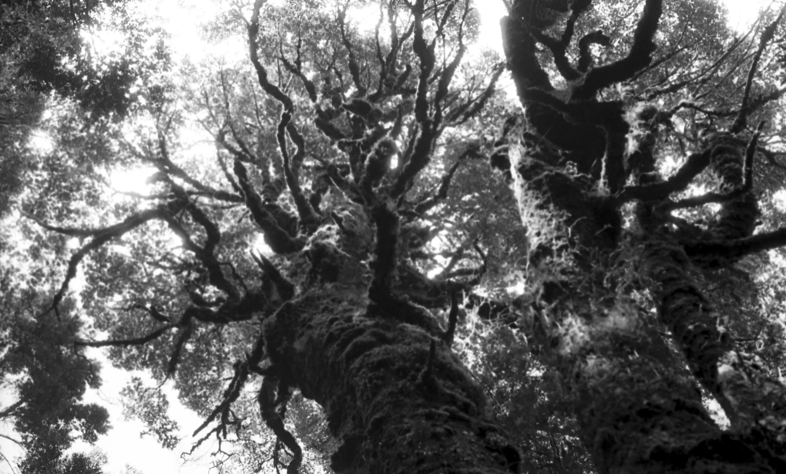 Beyond the mountain...