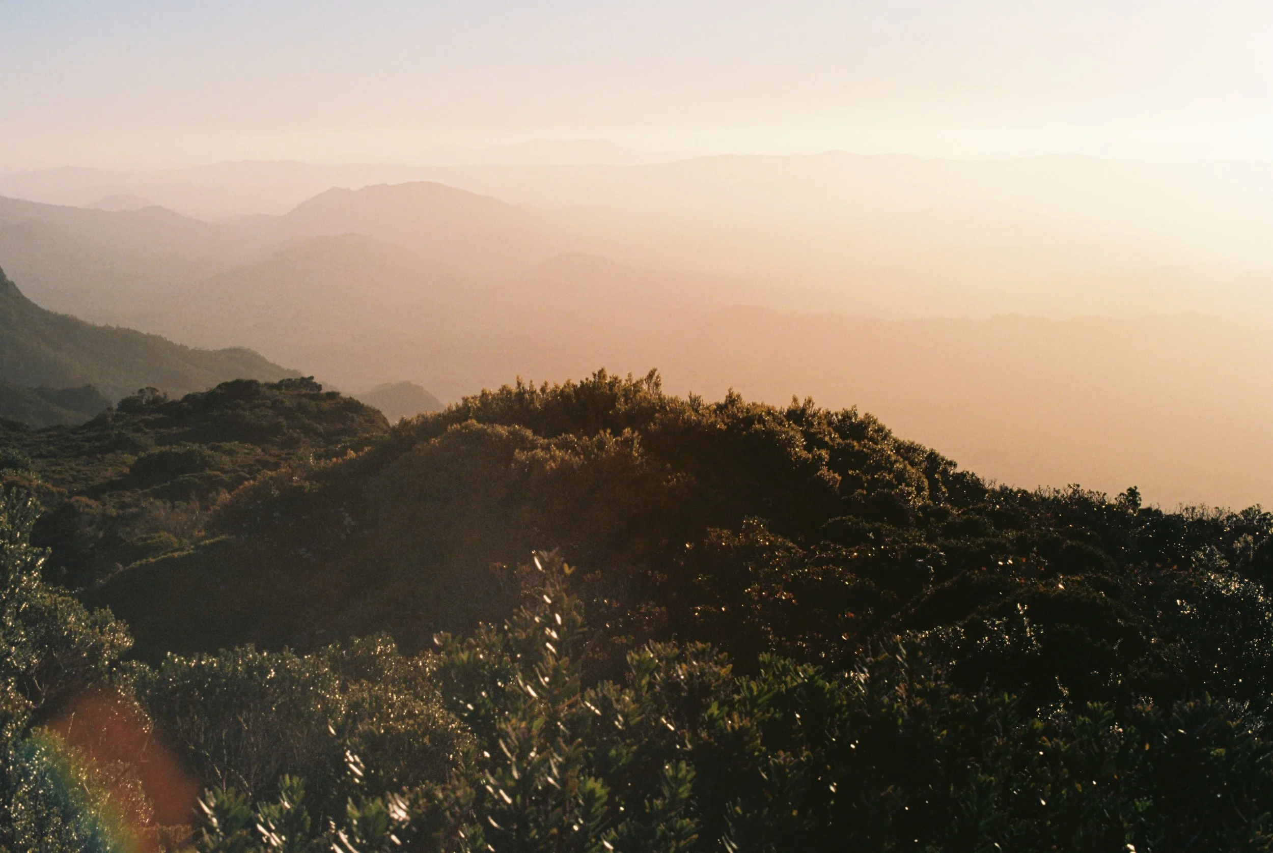 8 days worth of yabby juice