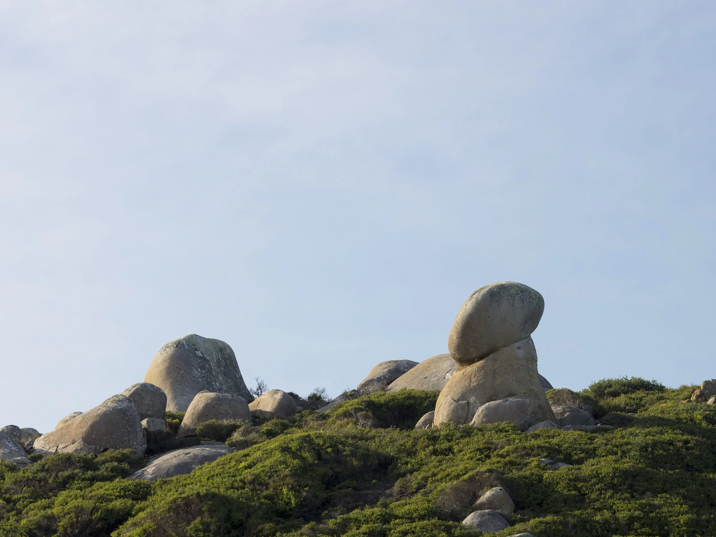 And that's the way the billy boils...