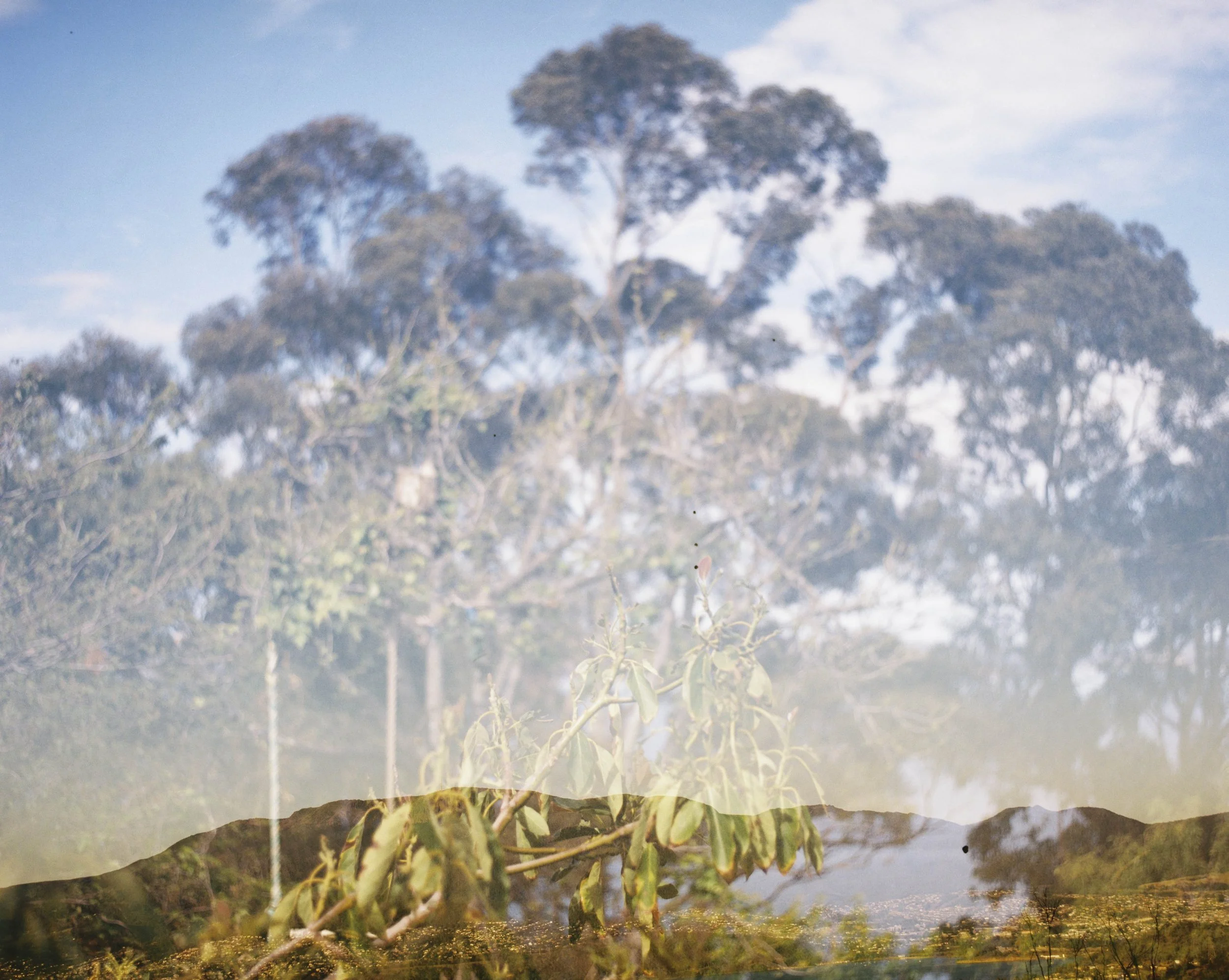 Thought and Instinct