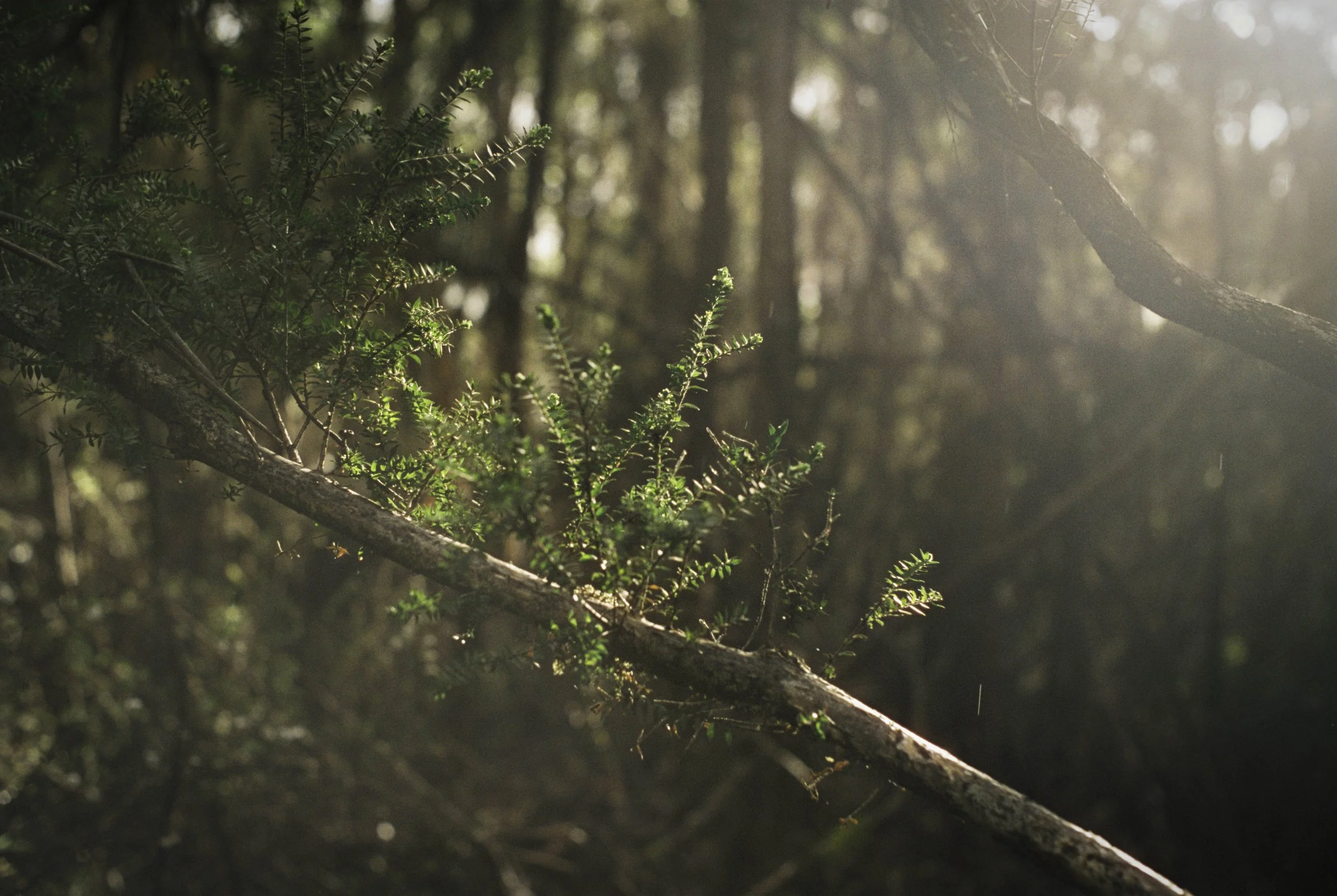 The point of no return...