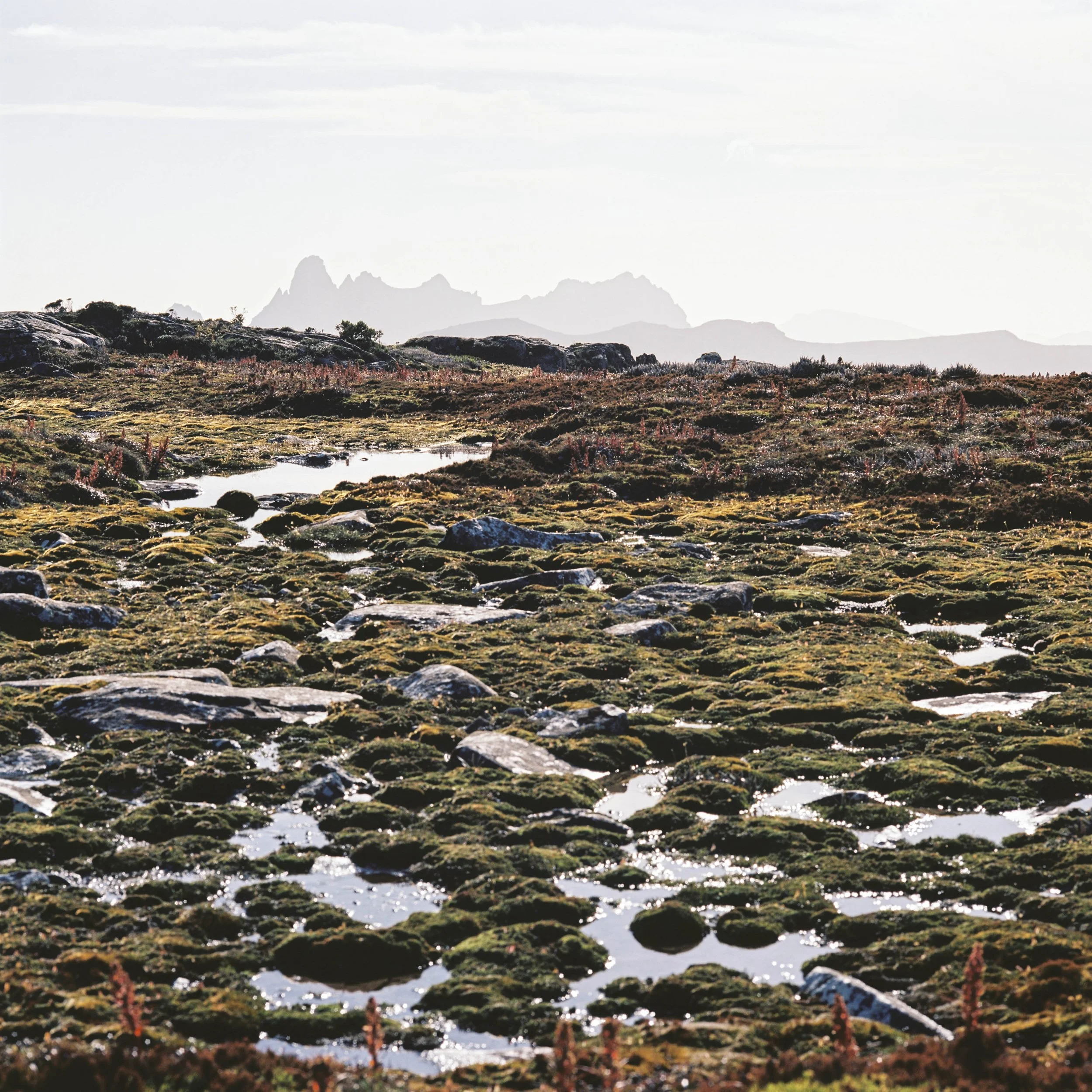 The year that's been...