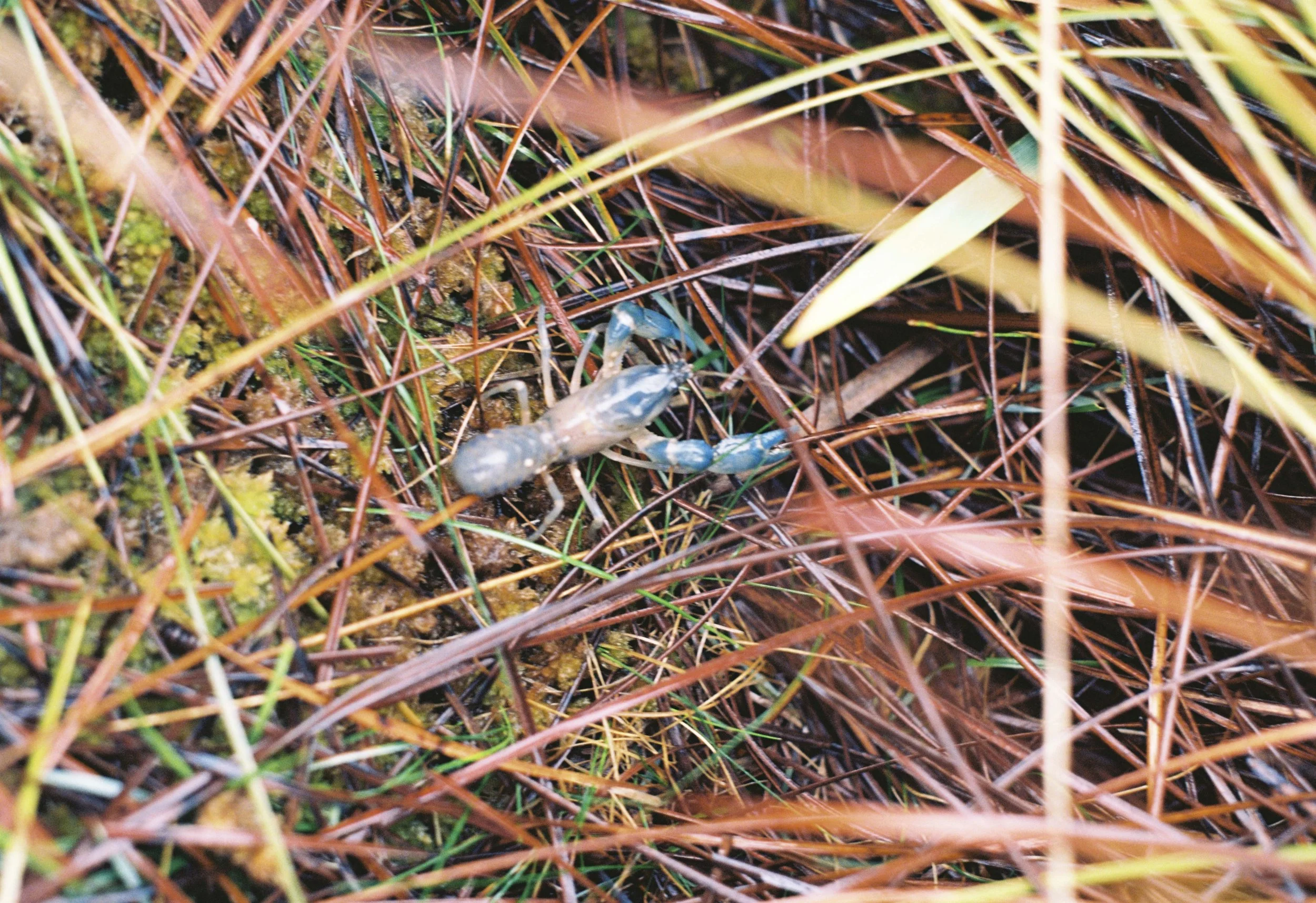 On the way through…