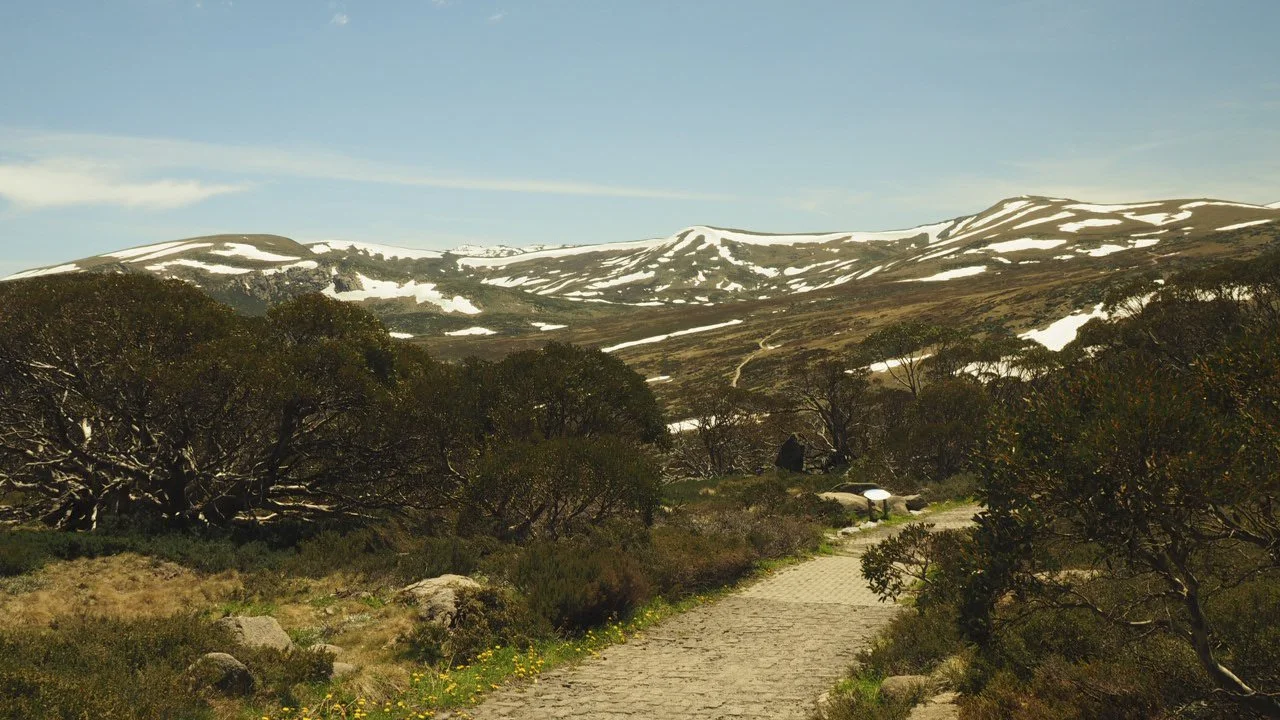 Chapter II: The long and winding road... to the start