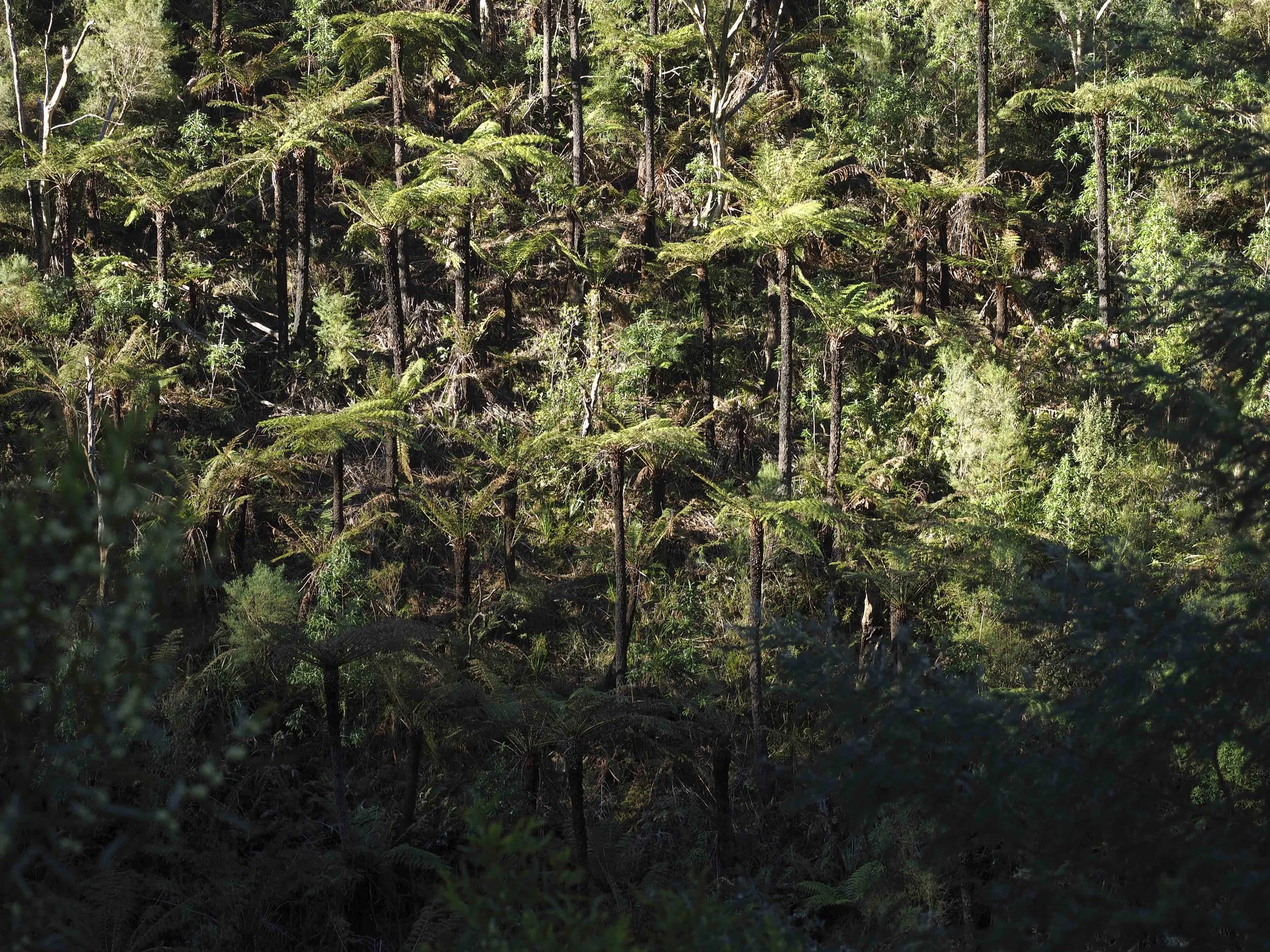 Chapter III: An unexpected encounter