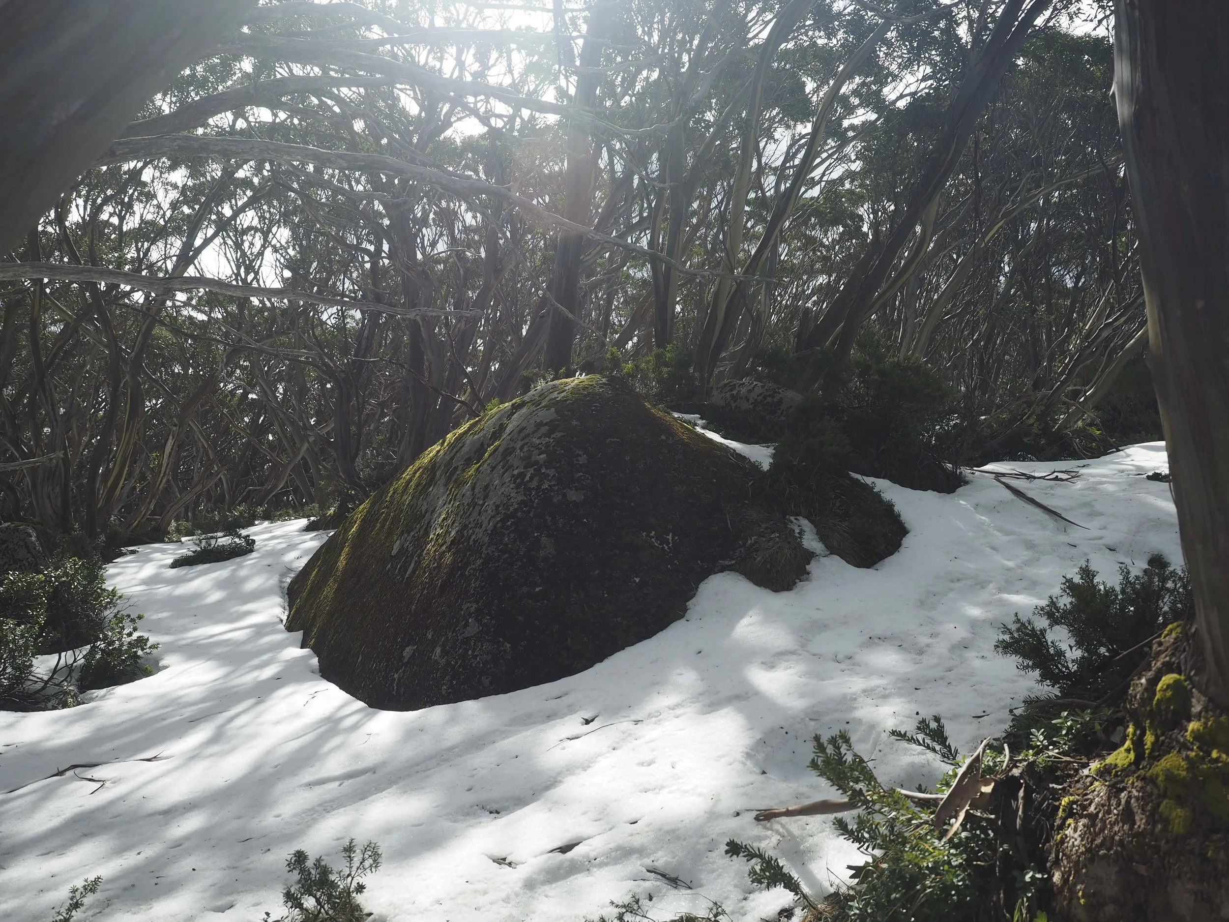 Chapter IV: The first mountain