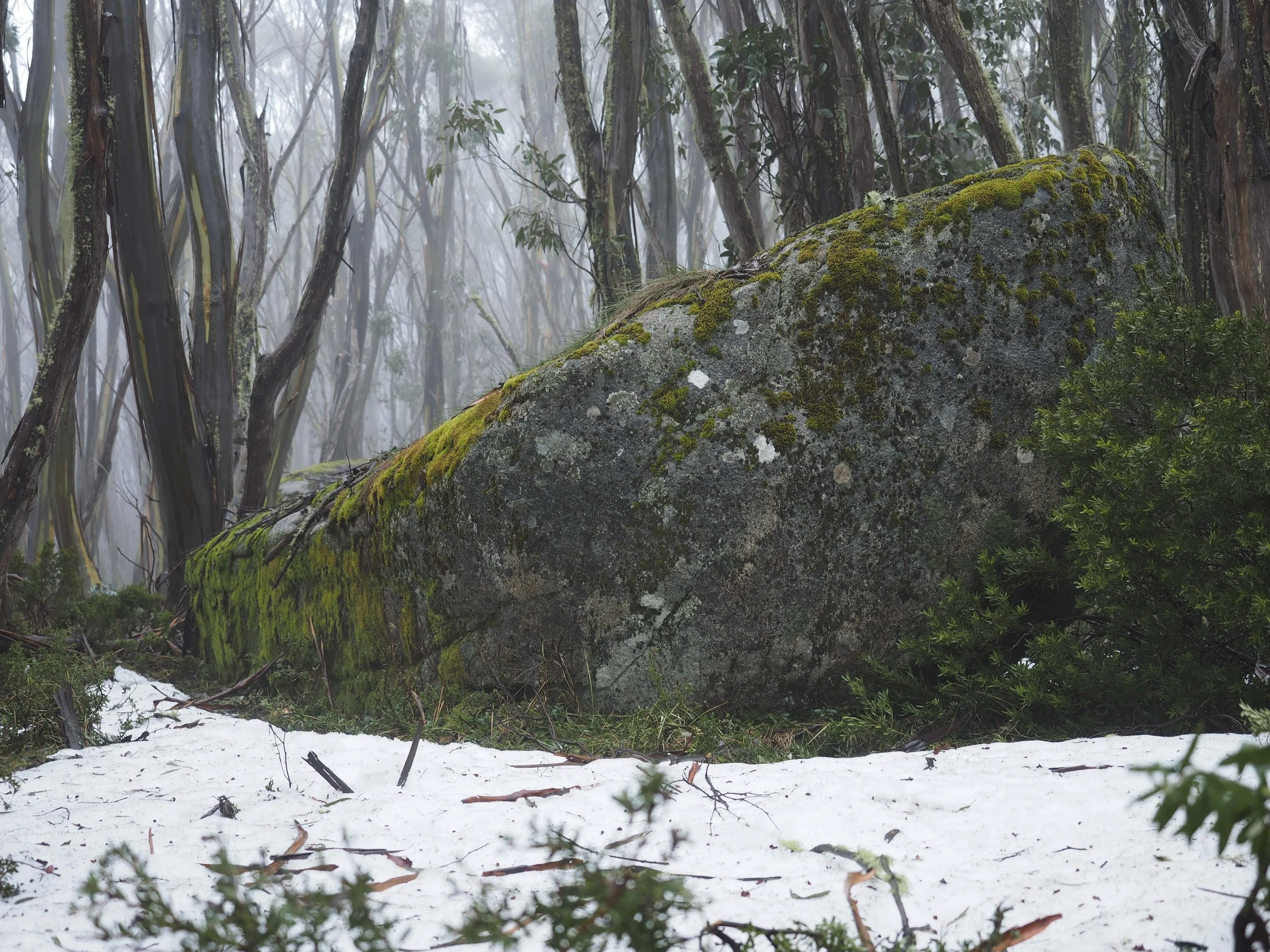 Chapter V: The land of wind and ice