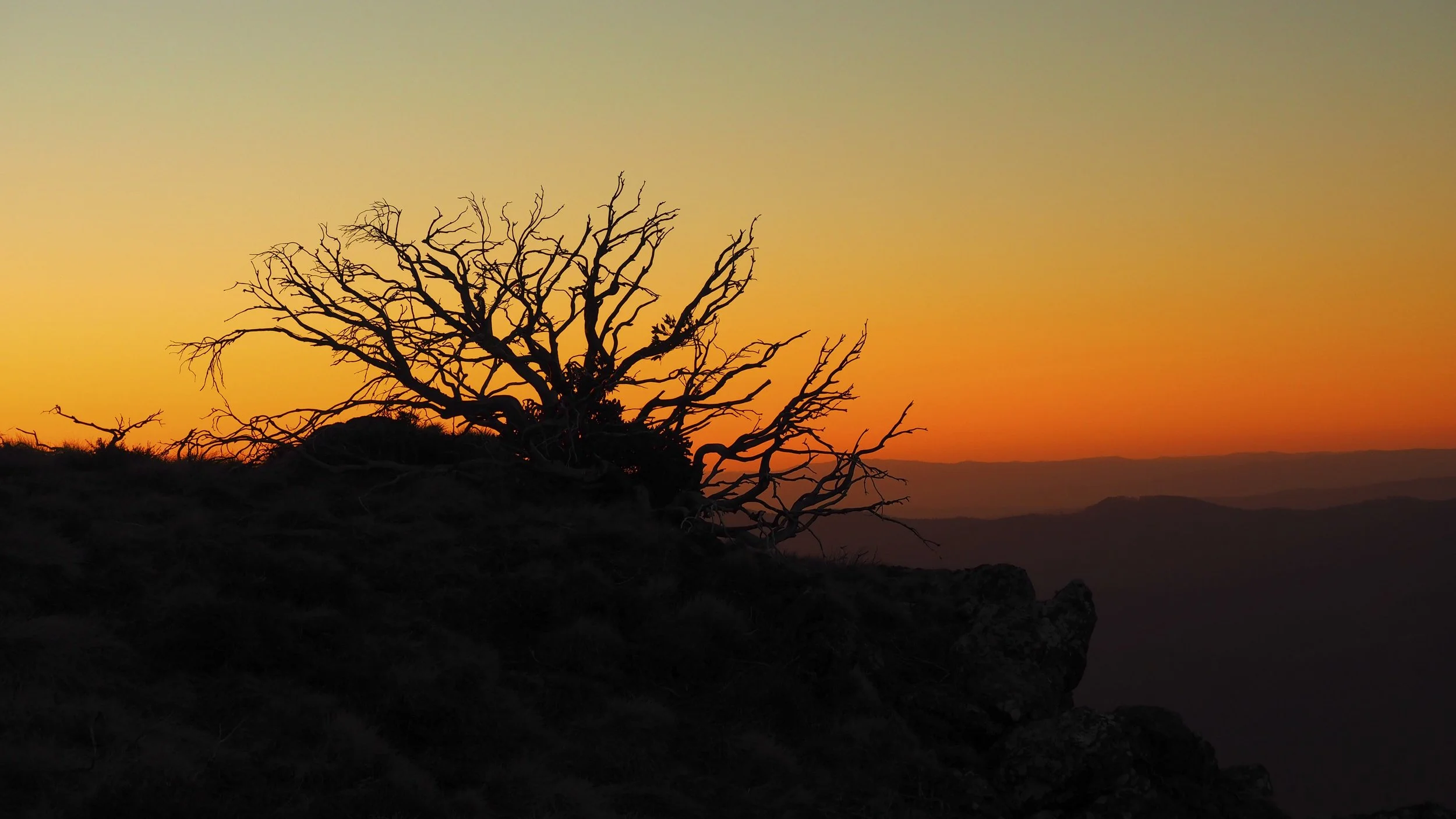 Chapter VII: The Heart of the Victorian Alps
