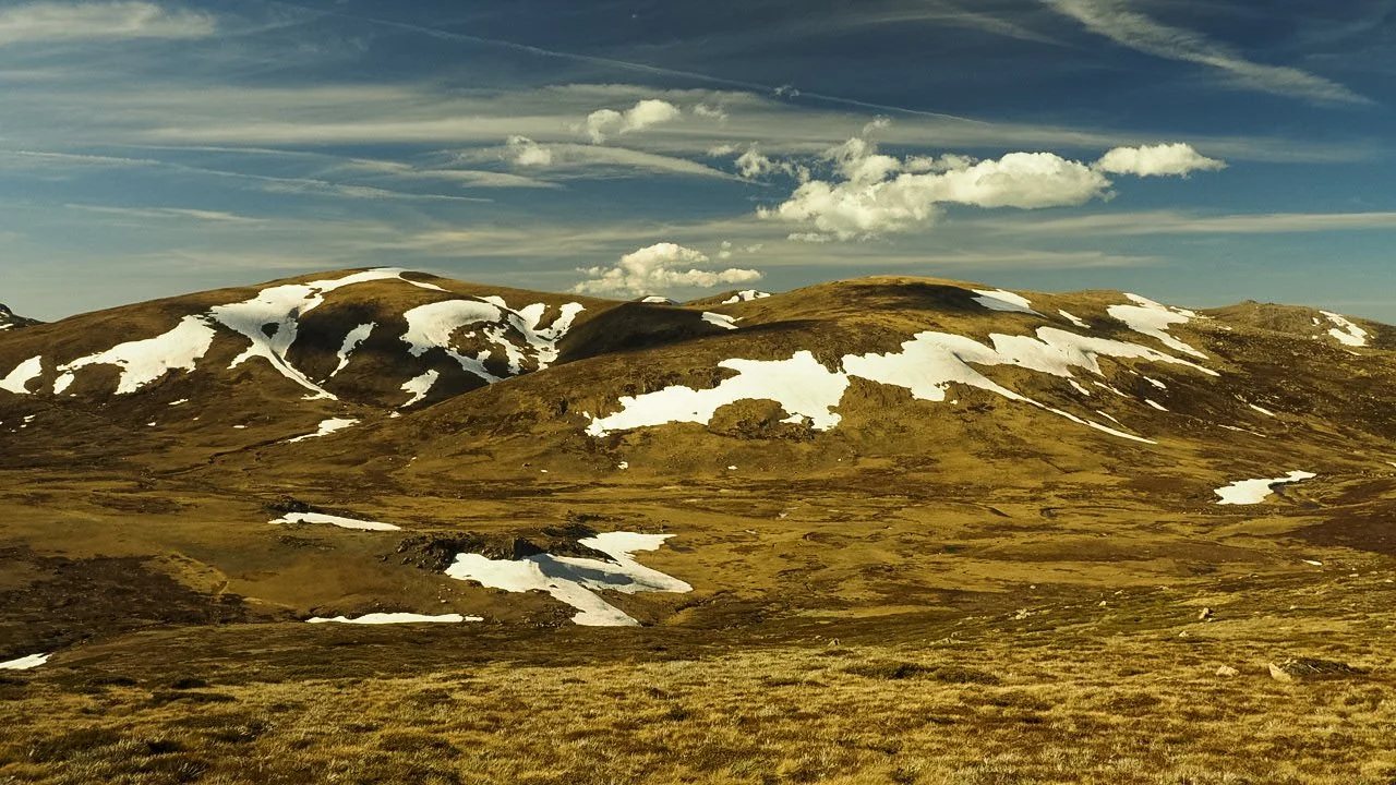 Chapter XII: Australia's Giants