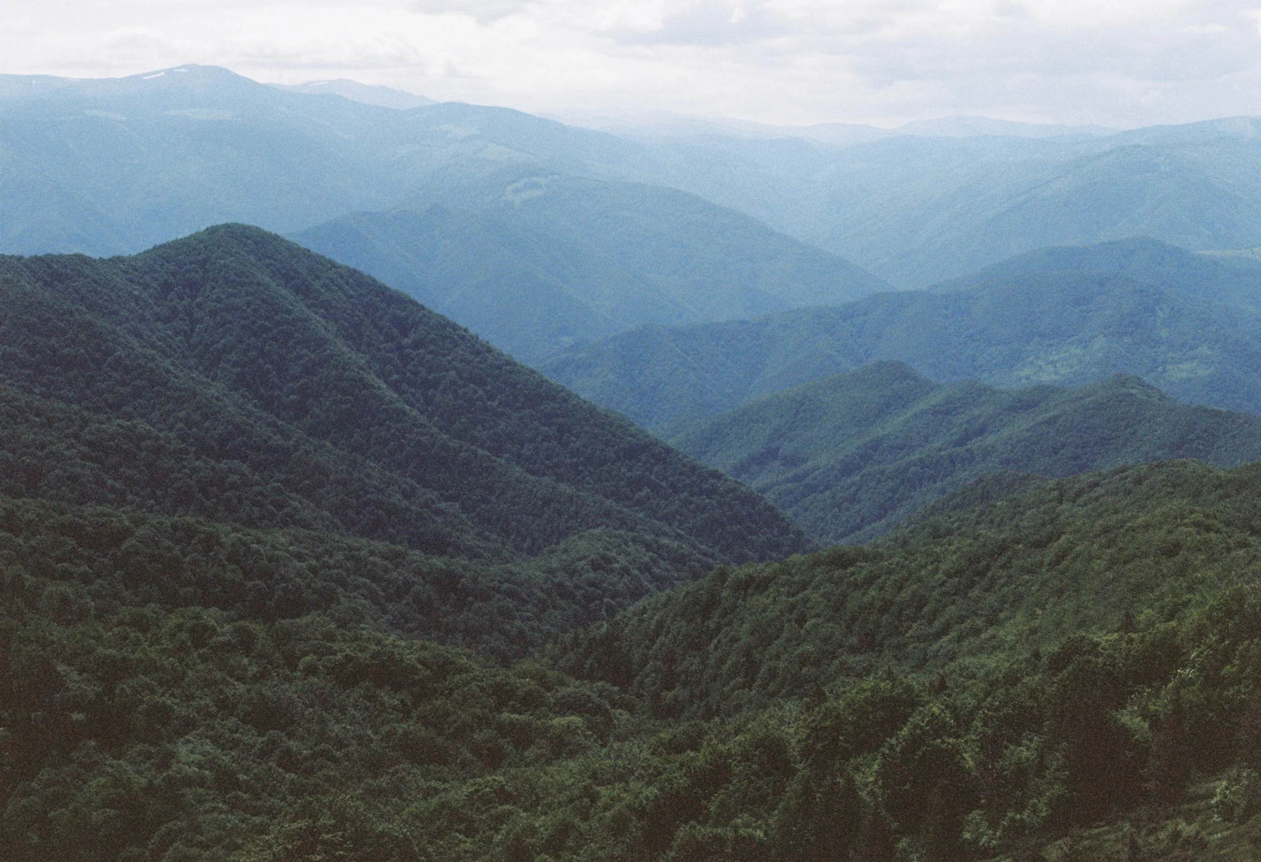 The peaceful warrior