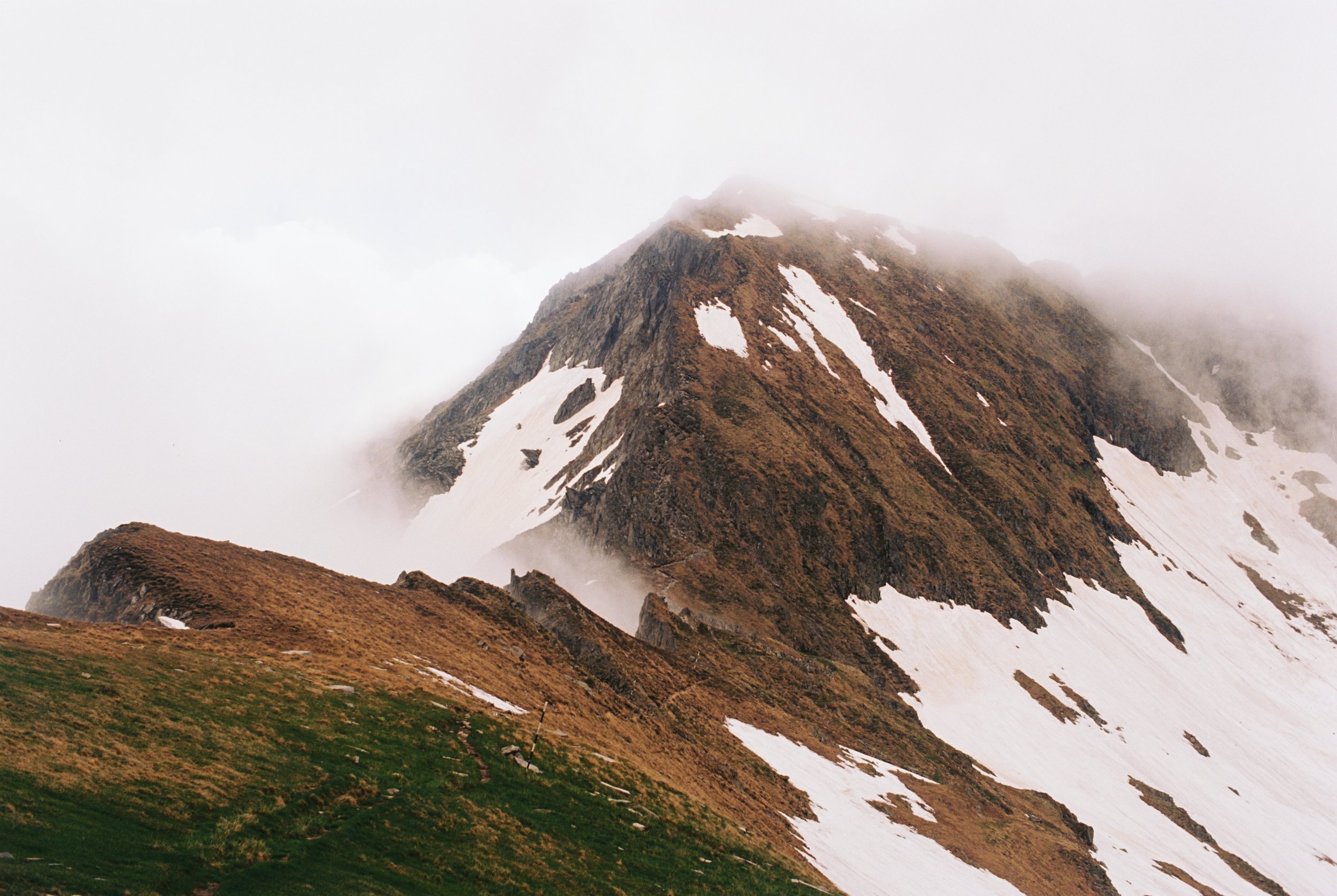 When the going gets tough...